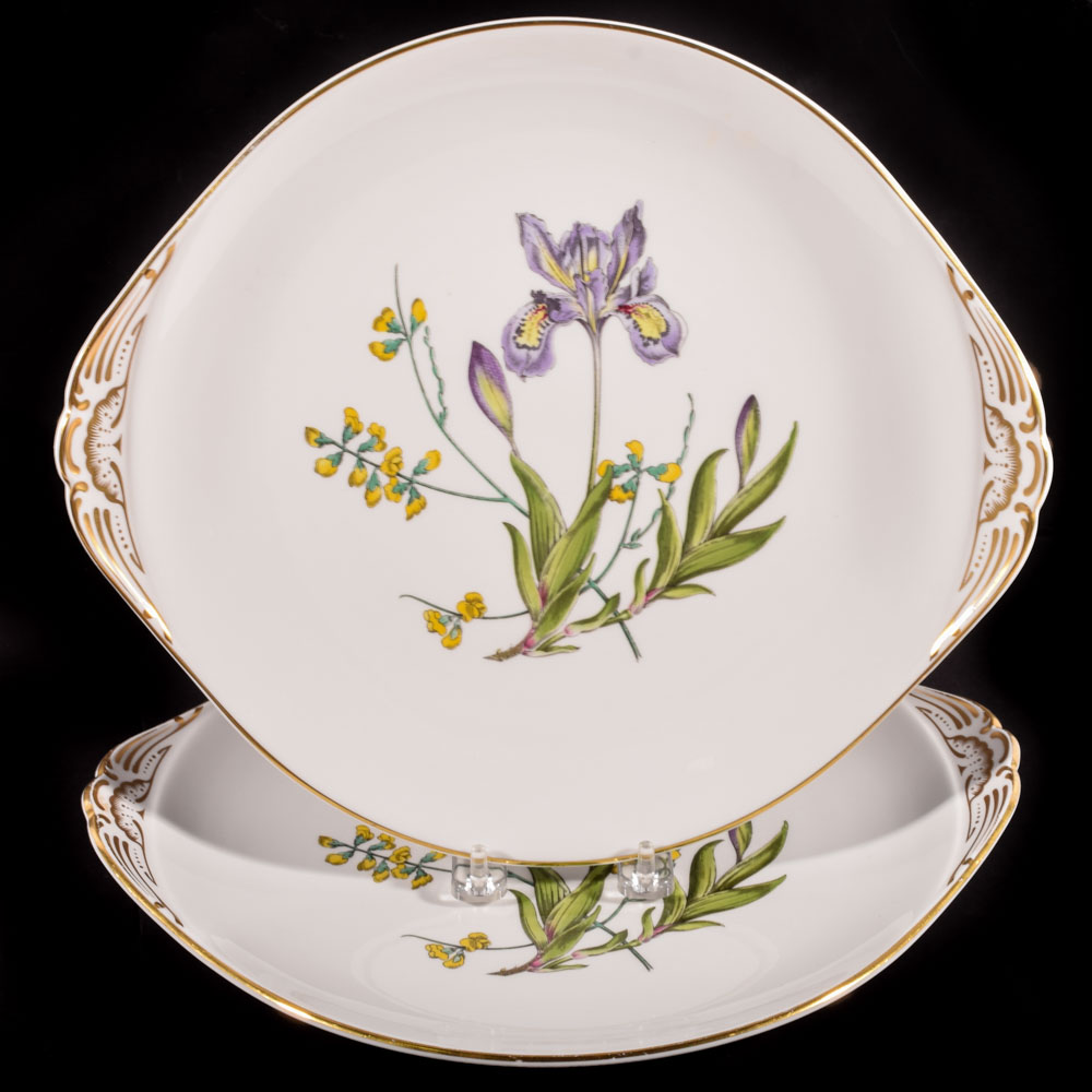 Spode "Stafford Flowers: Iris and Sphaerolobium" Bone ...