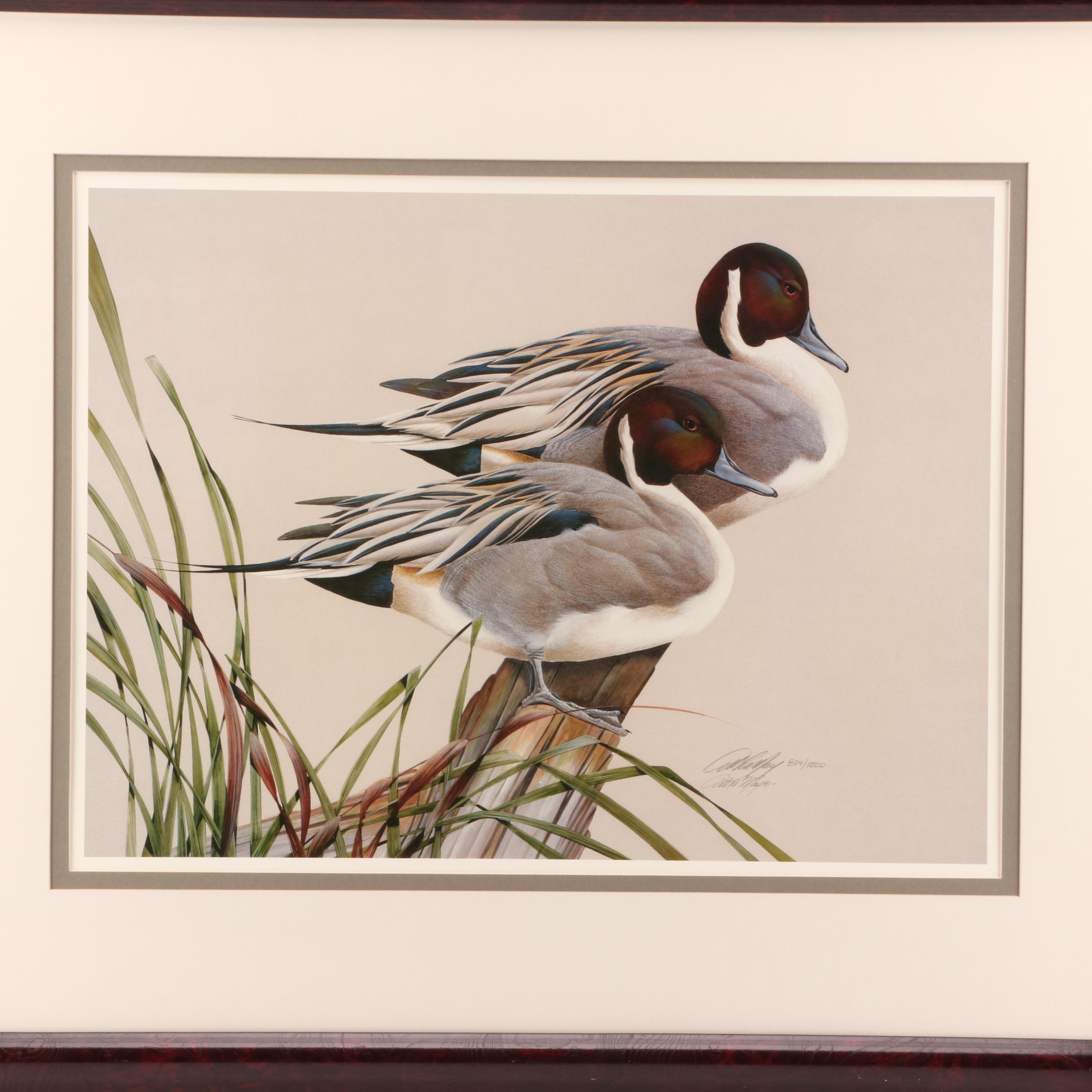 Art LaMay Limited Edition Offset Lithograph Pintail Pals EBTH   1542377000010 50184d7f4170b0cccd8d89fa1bd2e2c3399160dd9c45f5ba8923bbd5012b45cc.JPG