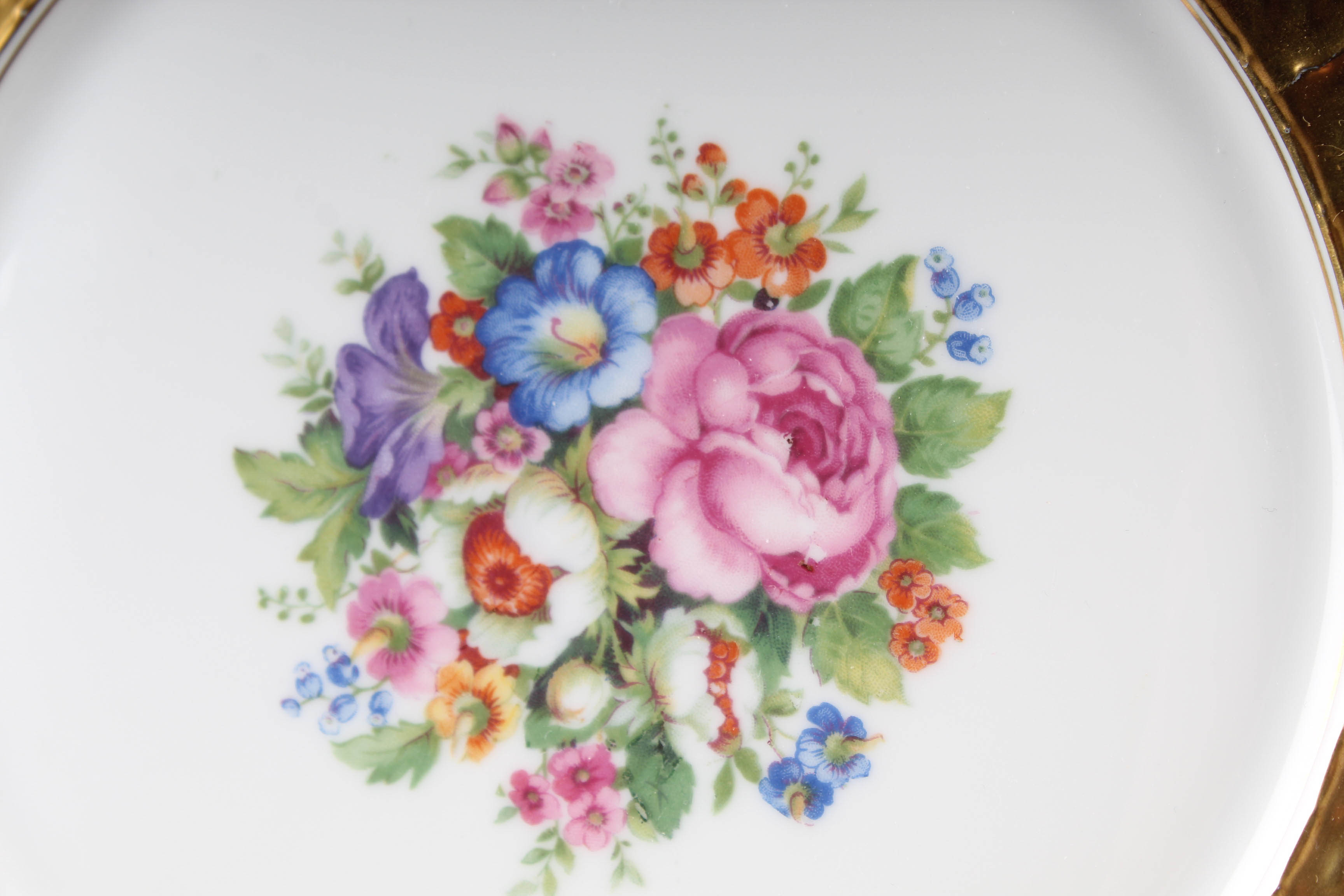 TK Thuny Czechoslovakia China Plates EBTH