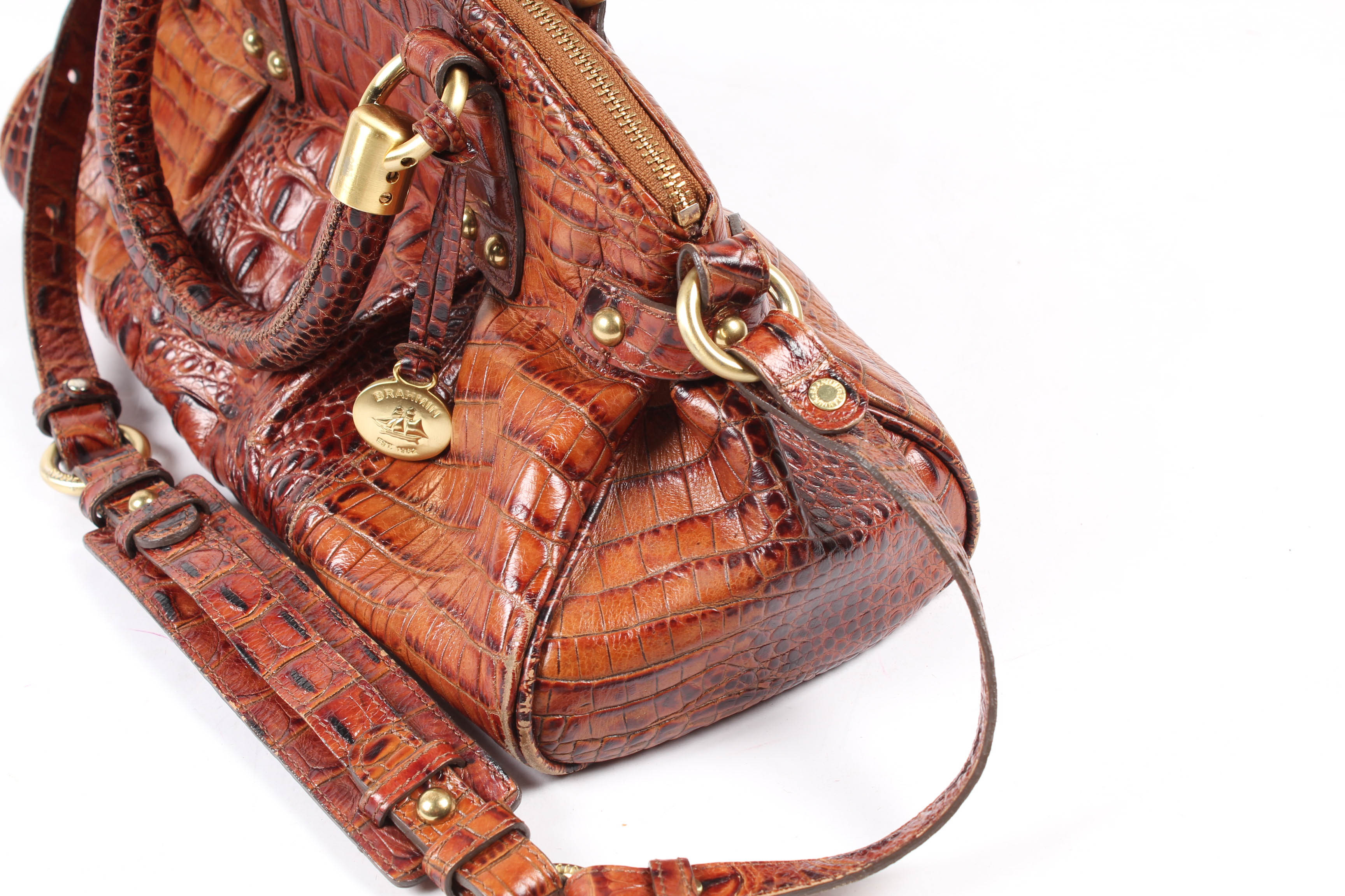 brahmin annabelle