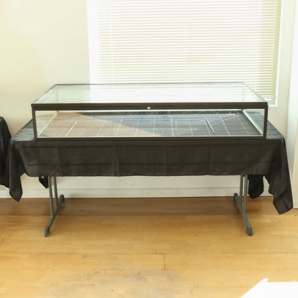 Glass Display Case and Table EBTH