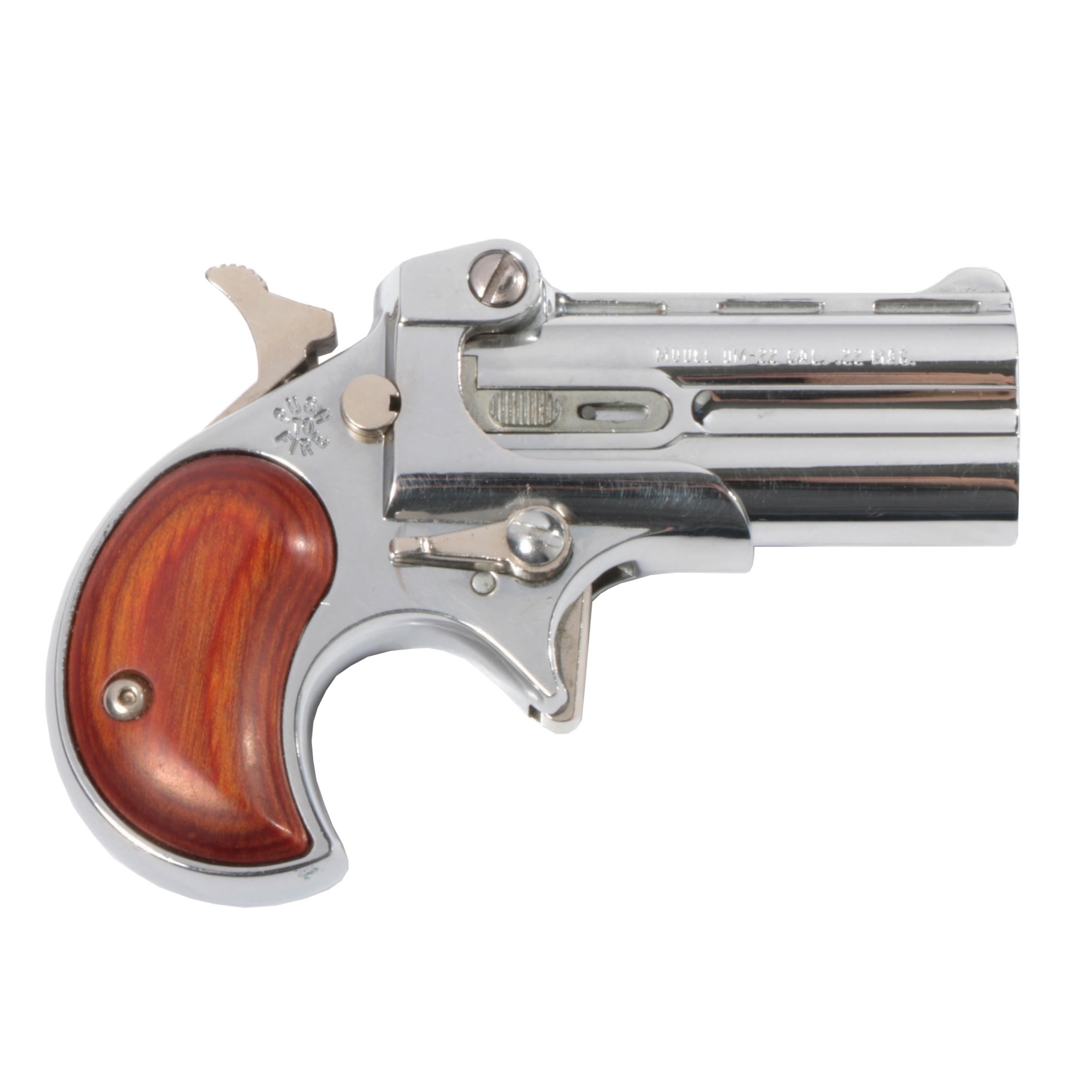 Davis Industries Derringer Style 2 shot .22 Magnum Pistol EBTH