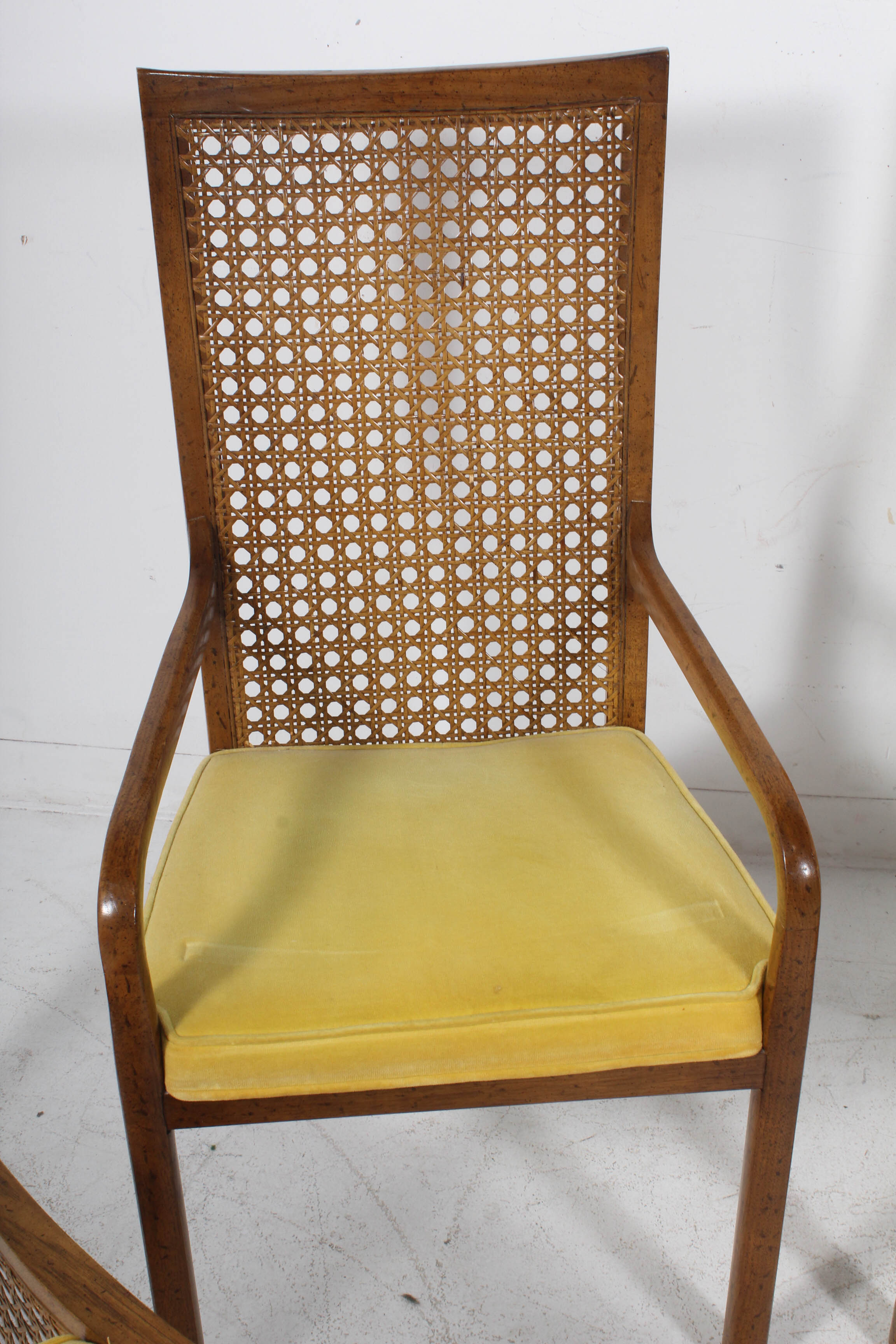 Vintage CaneBack Oak Dining Chairs, Mid 20th Century EBTH