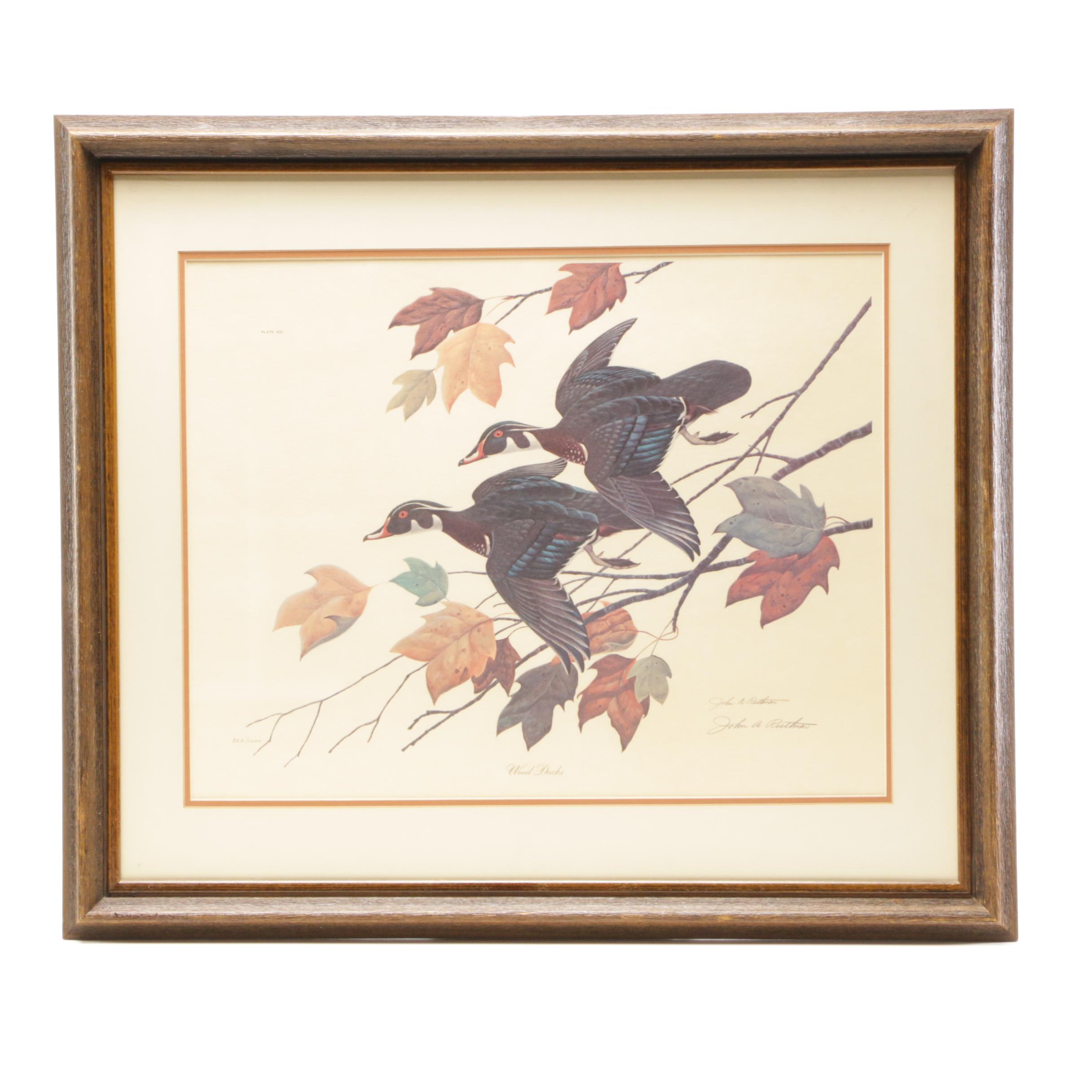 John Ruthven Limited Edition Offset Lithograph "Wood Ducks" EBTH