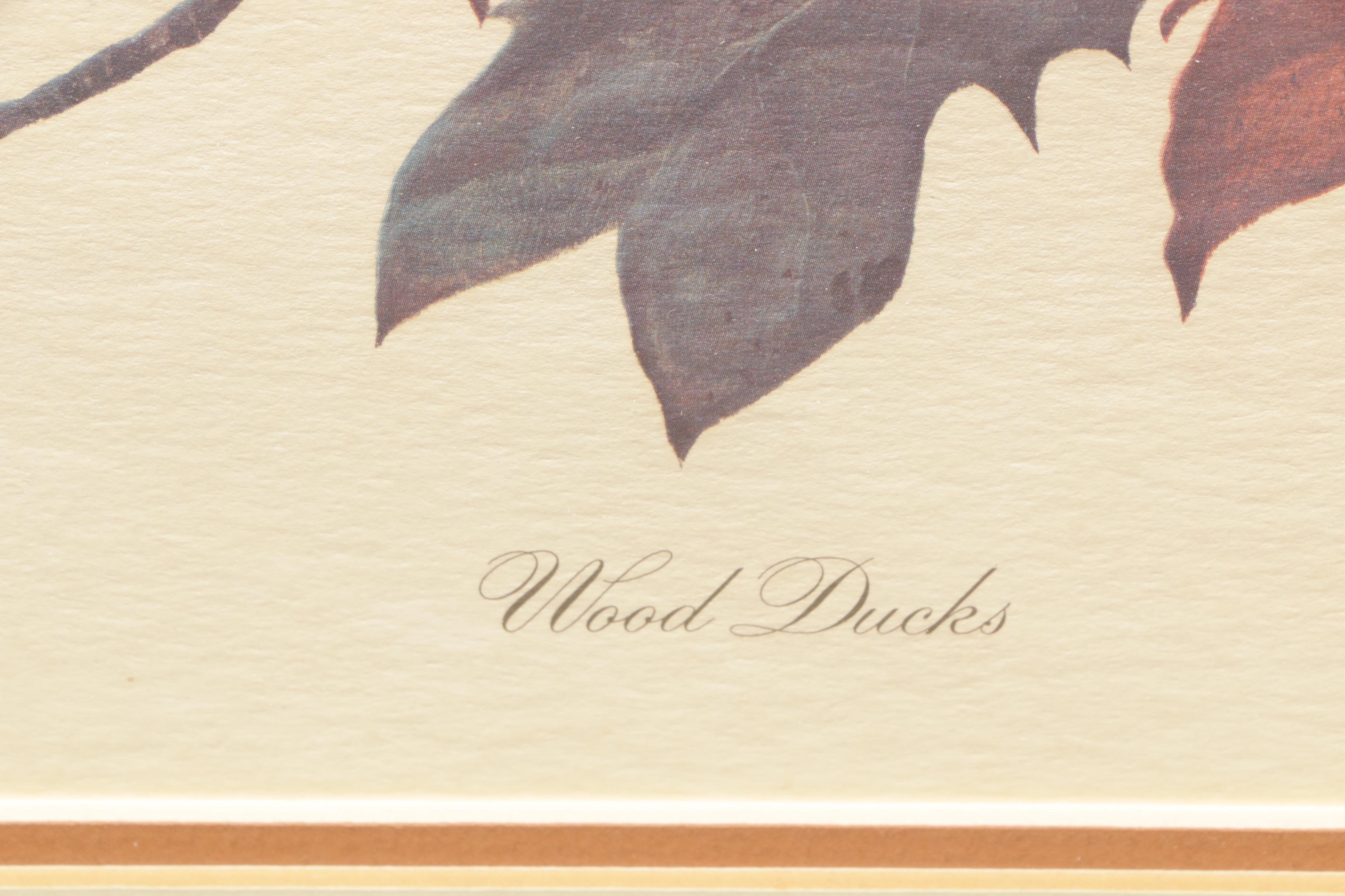 John Ruthven Limited Edition Offset Lithograph "Wood Ducks" EBTH