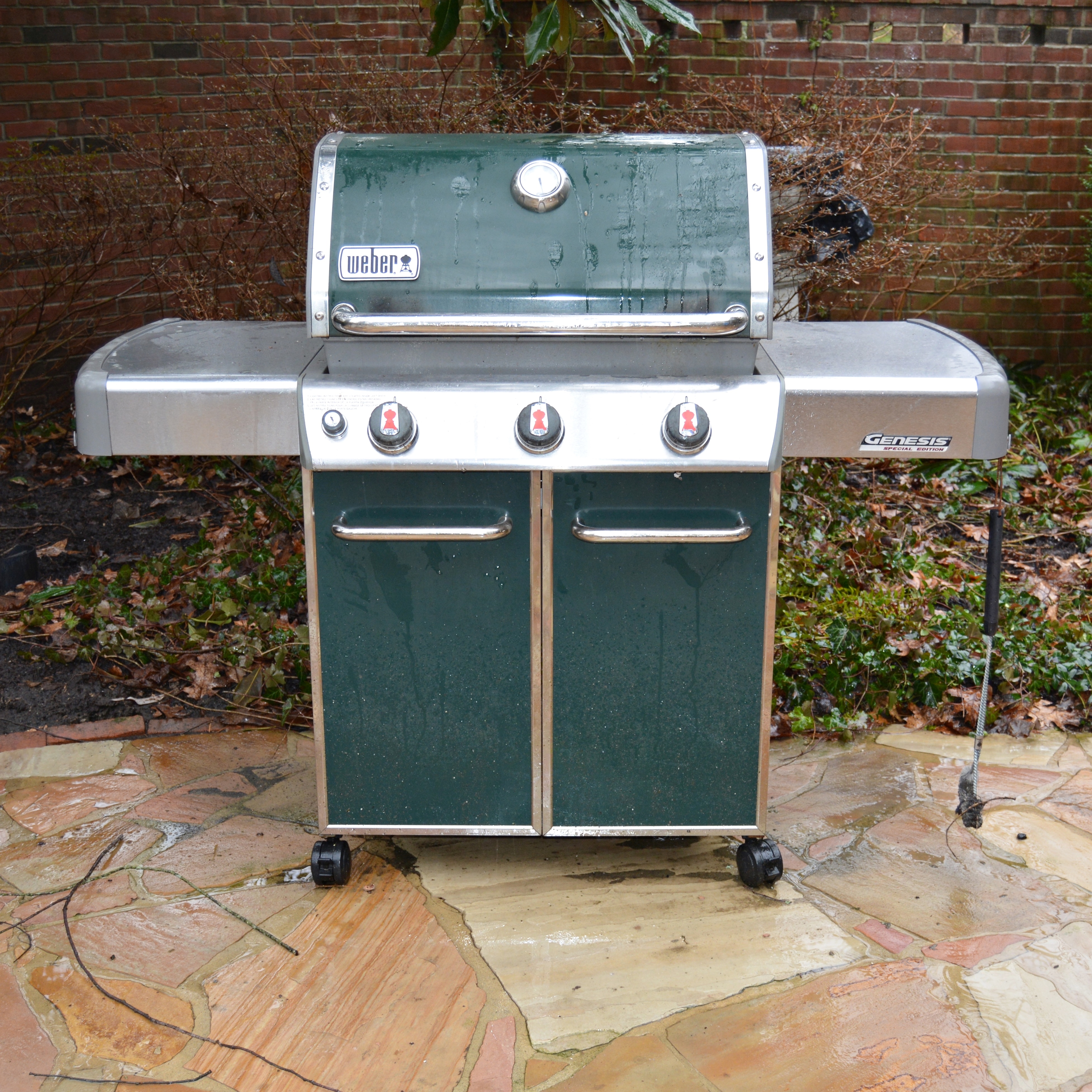 Weber Genesis Special Edition Gas Grill EBTH
