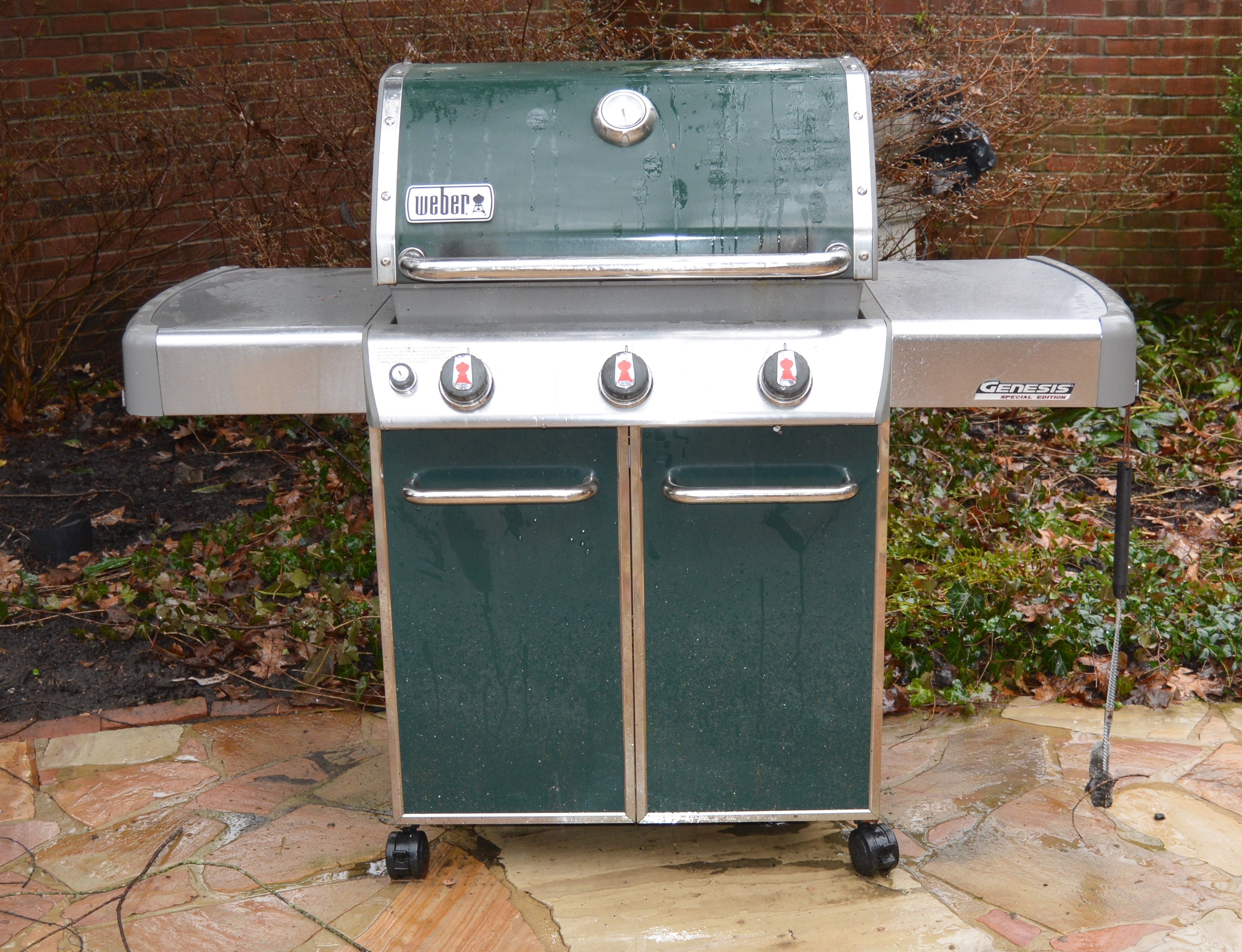 er Genesis Special Edition Gas Grill EBTH
