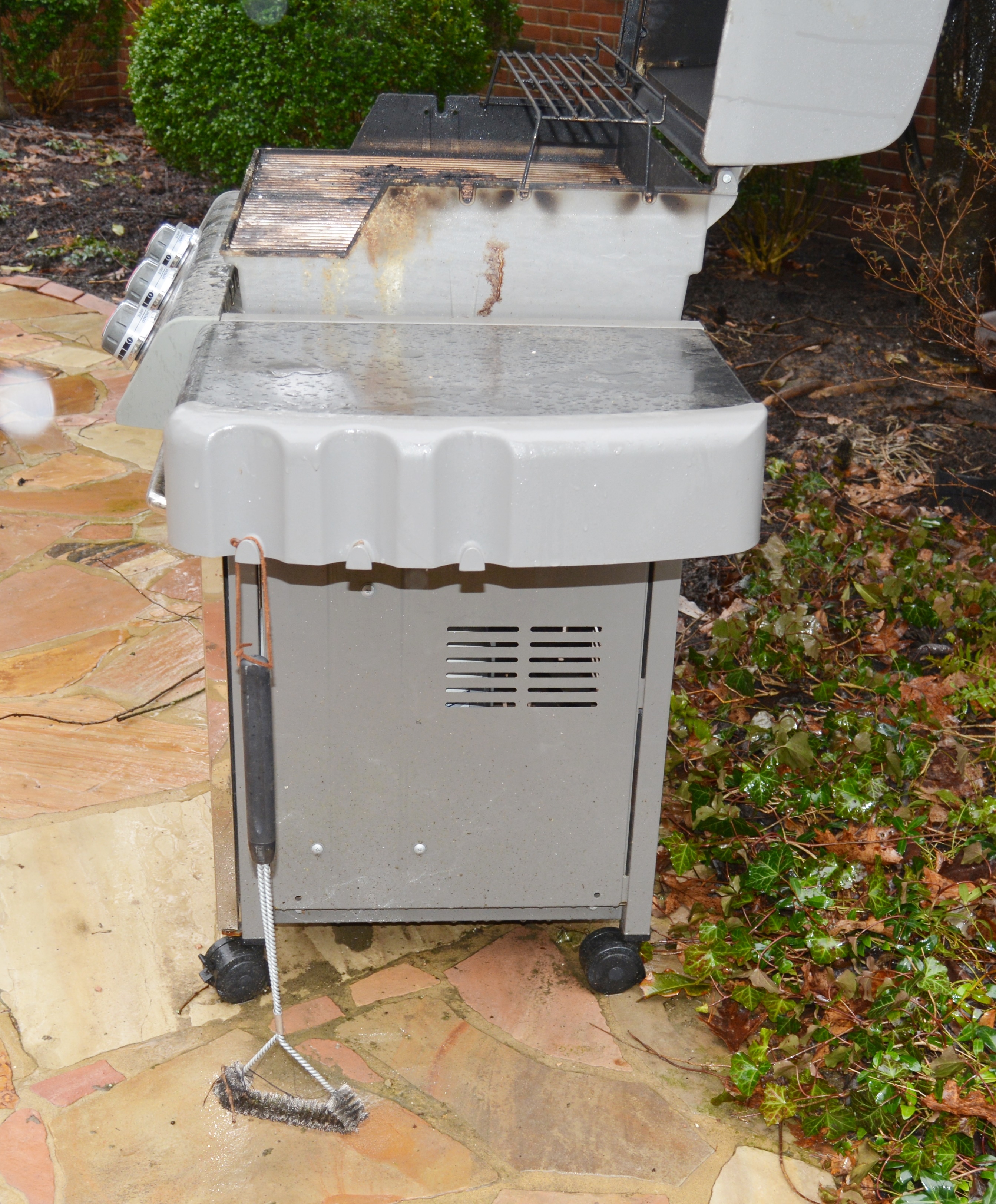 er Genesis Special Edition Gas Grill EBTH