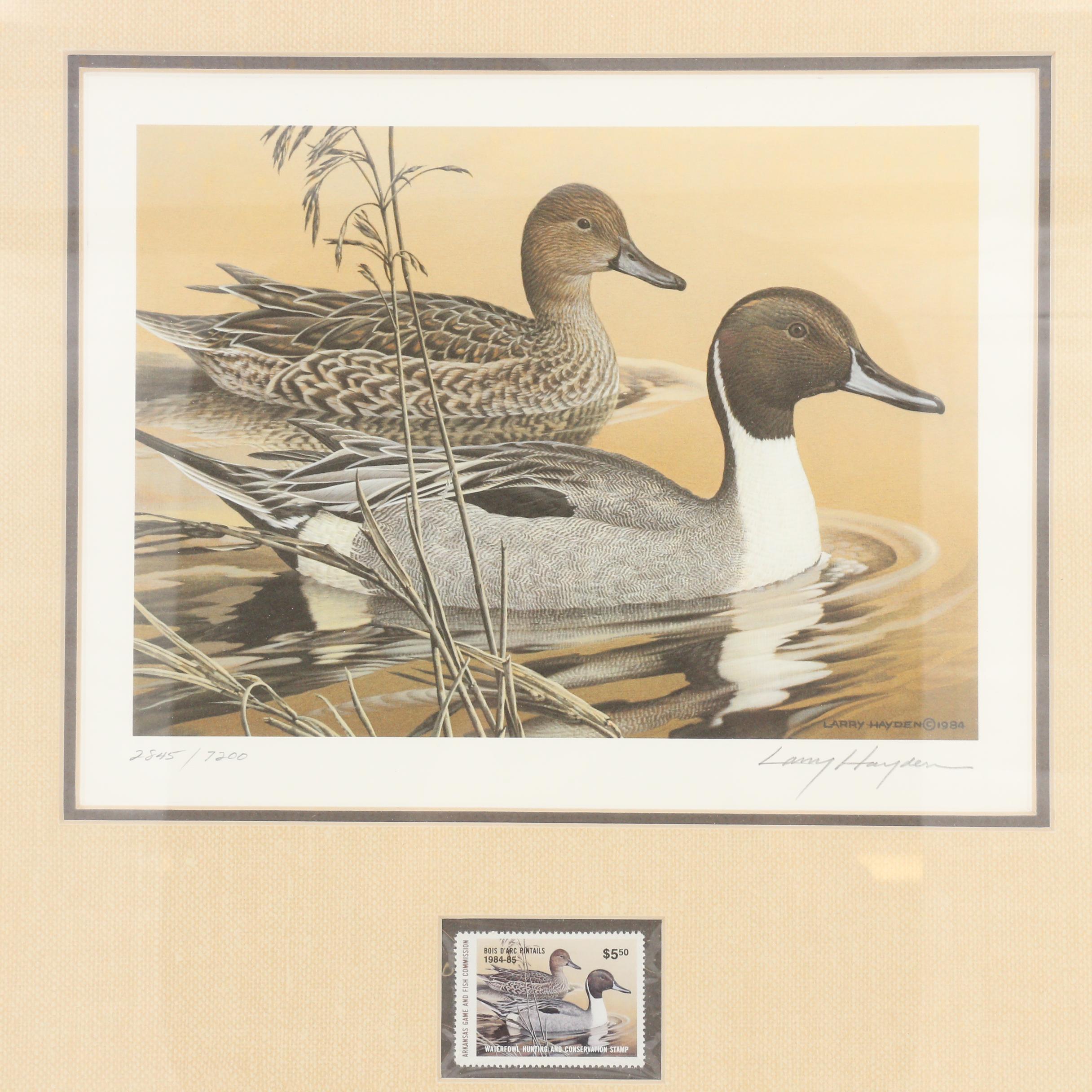 1984 Larry Hayden Arkansas Duck Stamp Print and Stamp EBTH