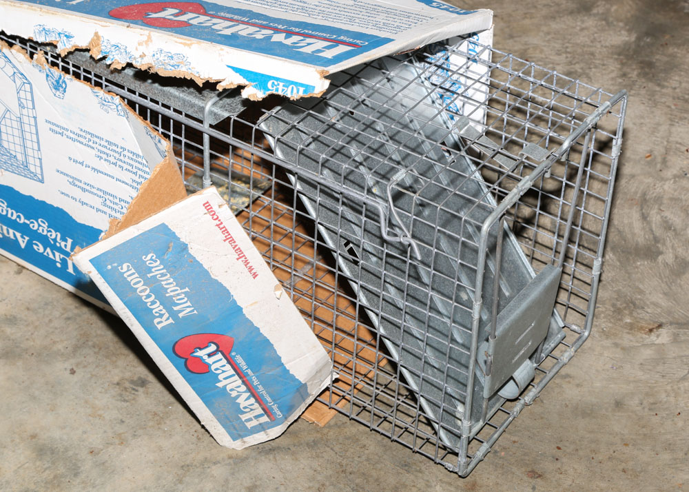 Havahart Raccoon Trap EBTH