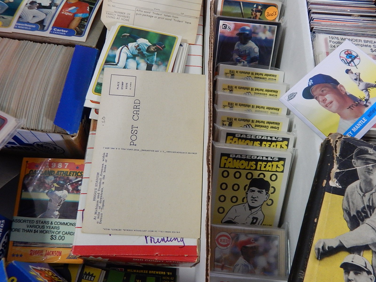 Large Sports Card and Memorabilia Collection with Baseball and Football