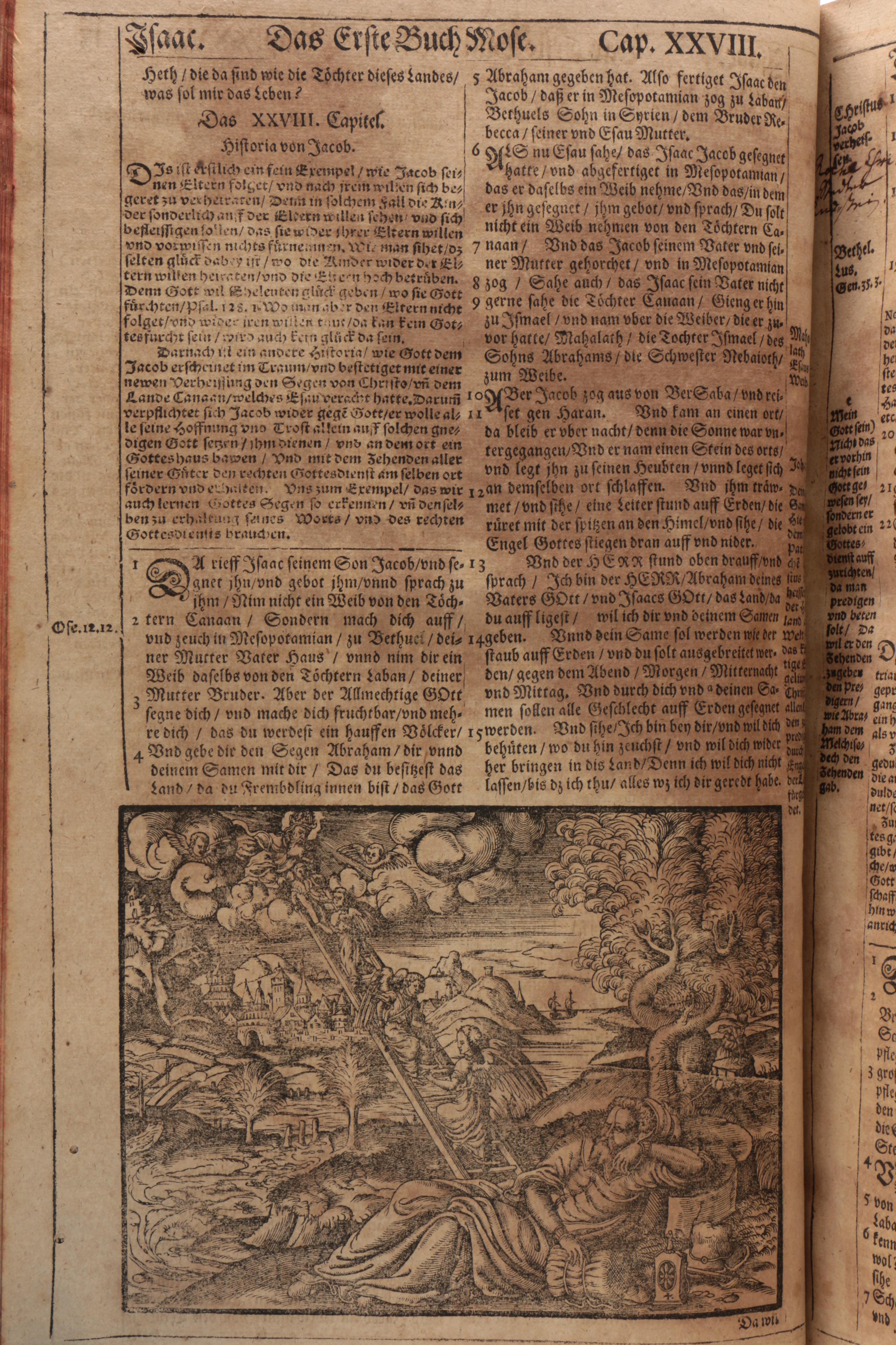 1671 Illustrated German-Language Lutheran Bible | EBTH