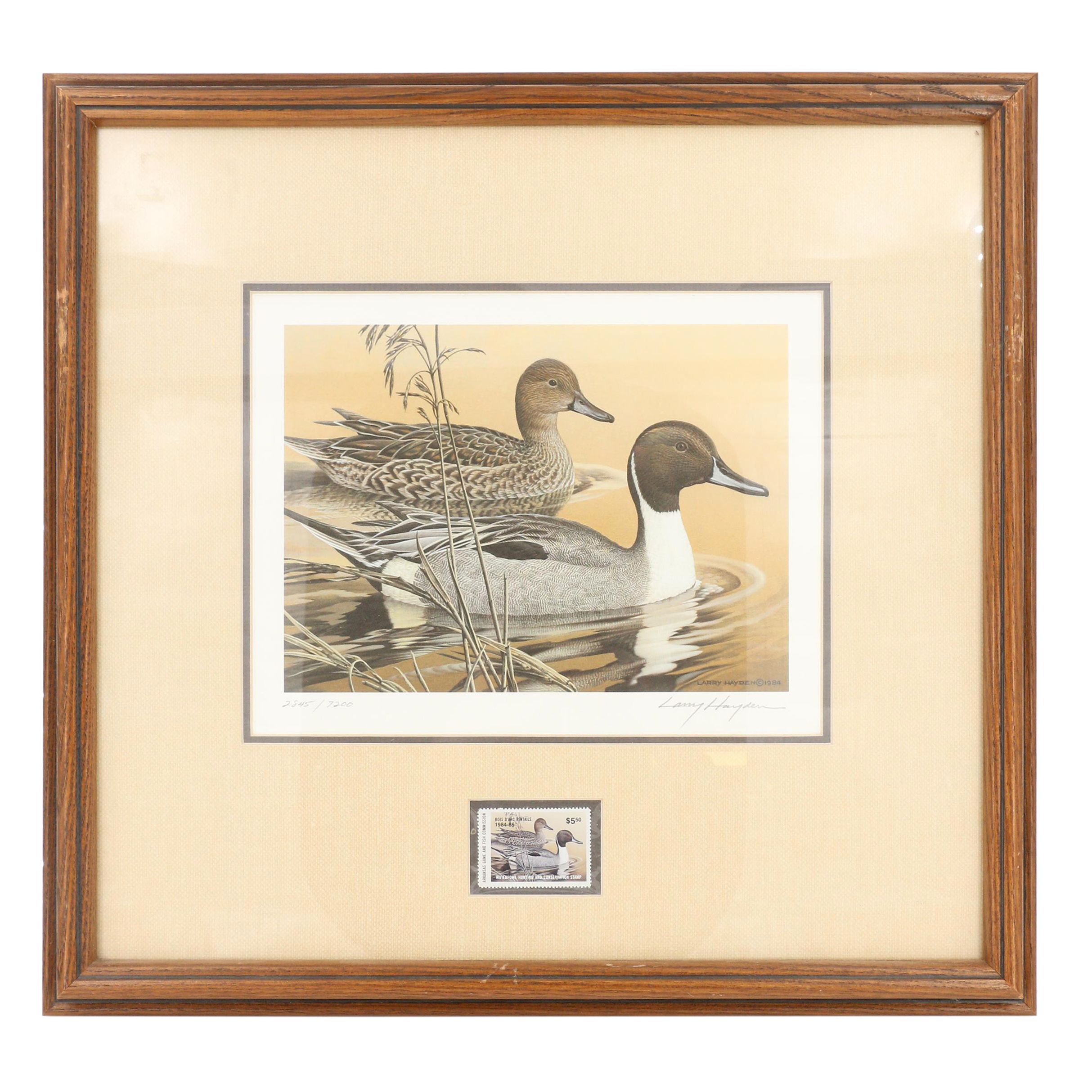 1984 Larry Hayden Arkansas Duck Stamp Print and Stamp EBTH