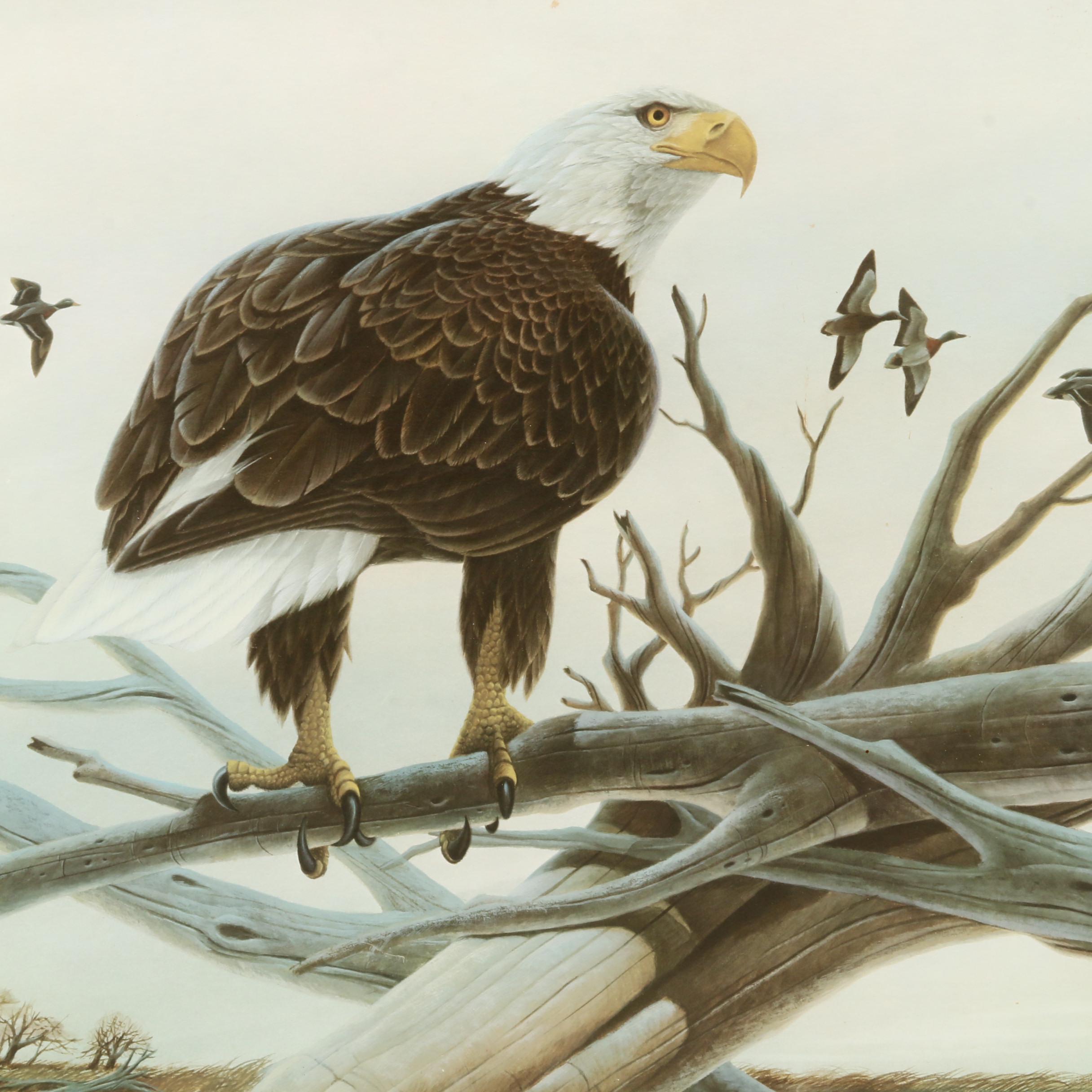 John Ruthven Offset Lithograph "Bald Eagle" EBTH