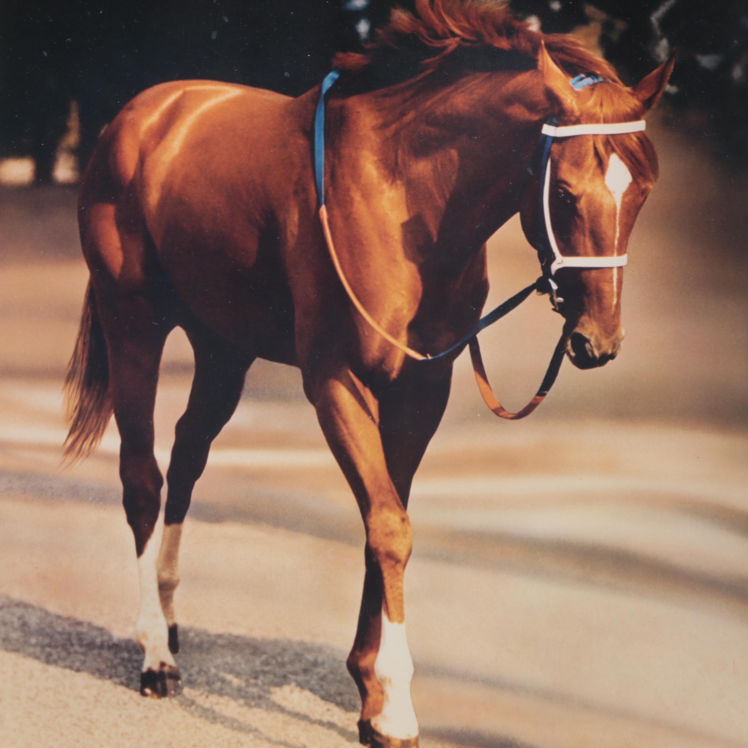 Tony Leonard Print "Secretariat 'At the Belmont'" Signed by Penny Chenery EBTH