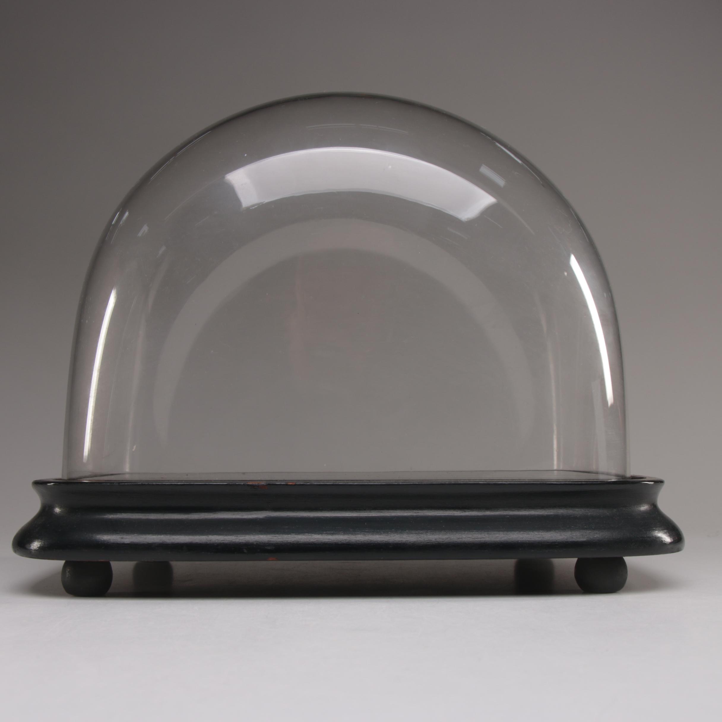 Glass Dome Display Case with Footed Wood Base EBTH