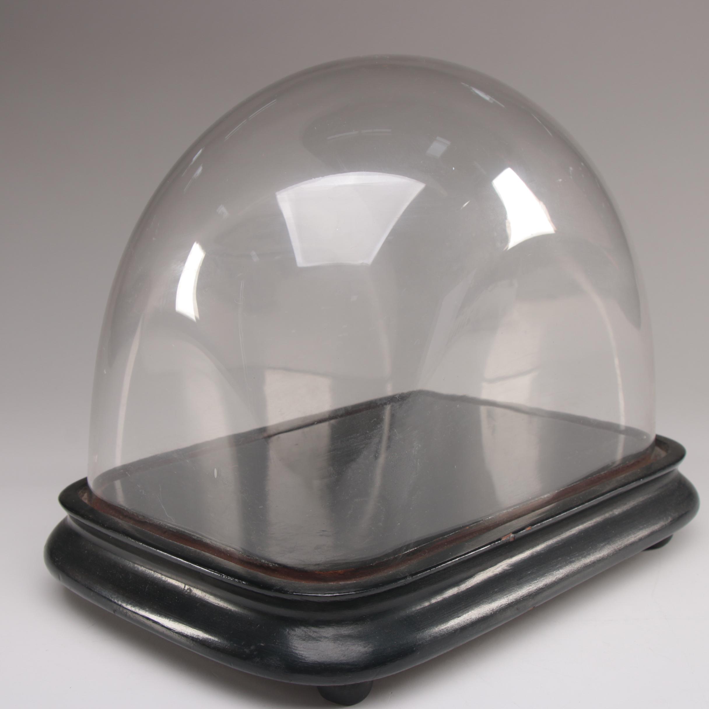 Glass Dome Display Case with Footed Wood Base EBTH