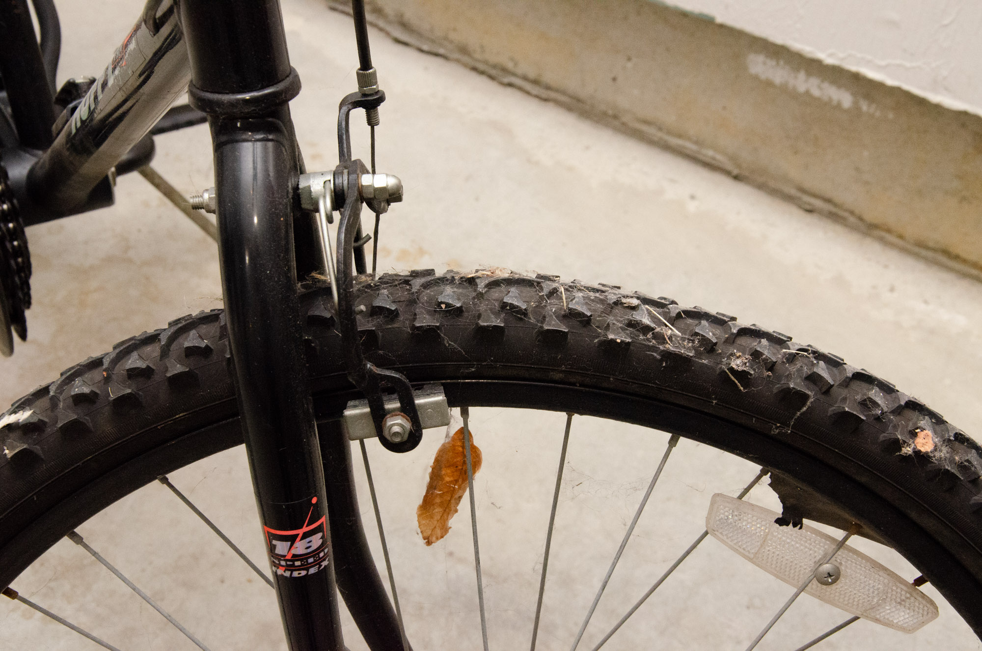 genesis core mountain bike