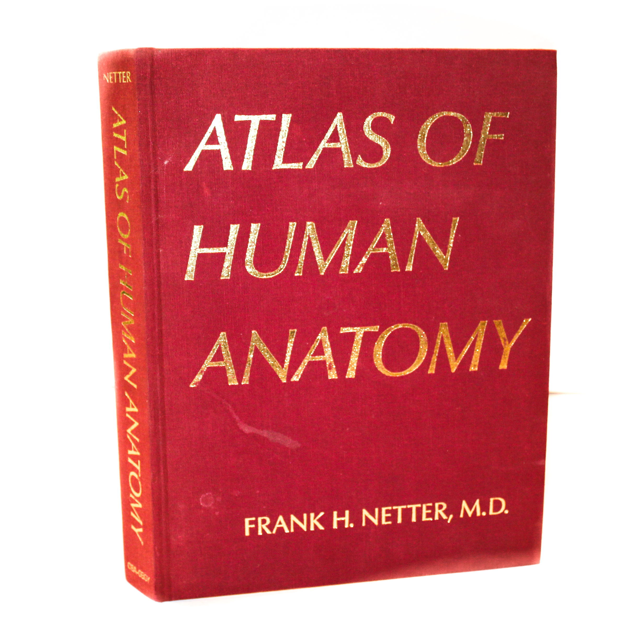 Frank H. Netter "Atlas of Human Anatomy" EBTH
