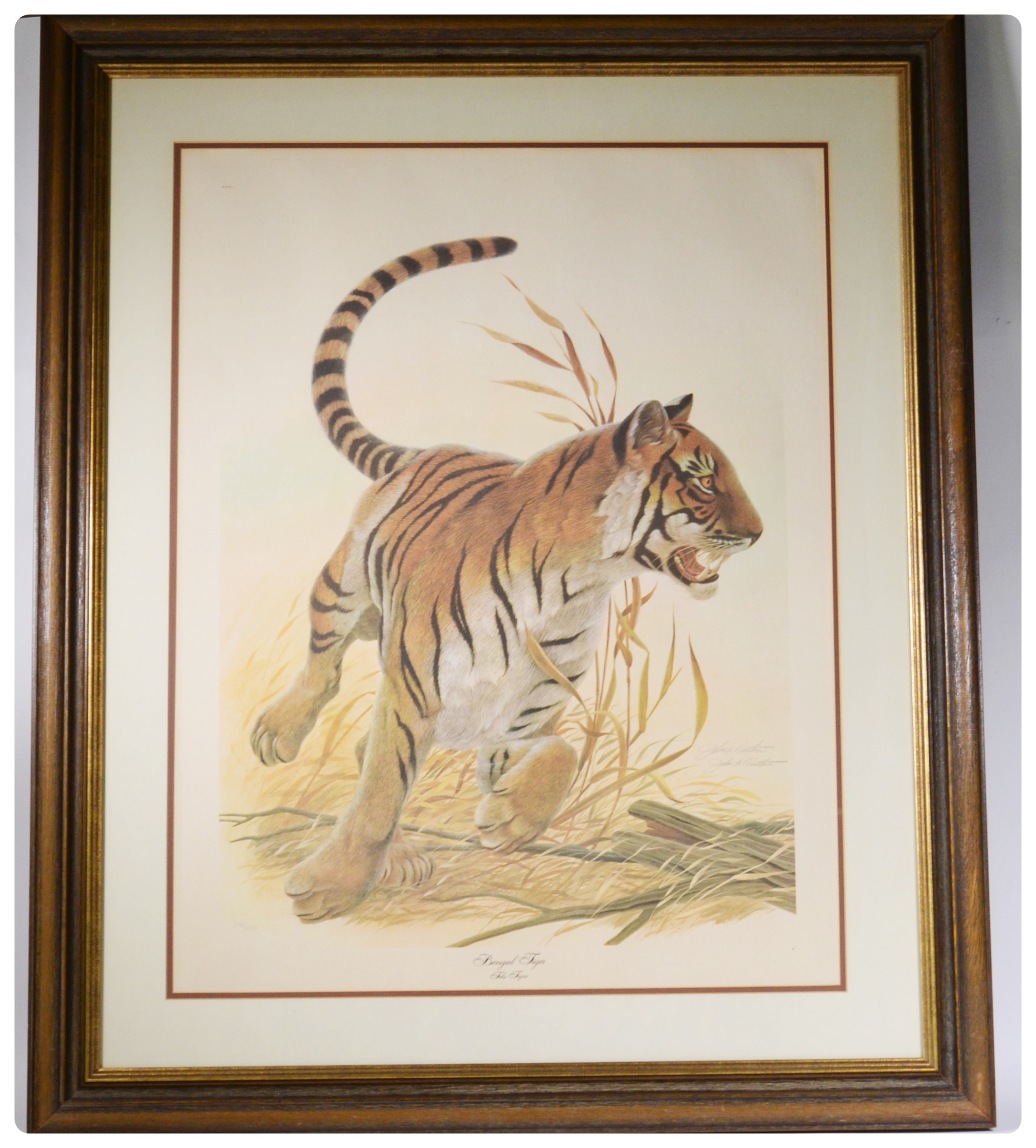 John A. Ruthven Offset Lithograph "Bengal Tiger" EBTH