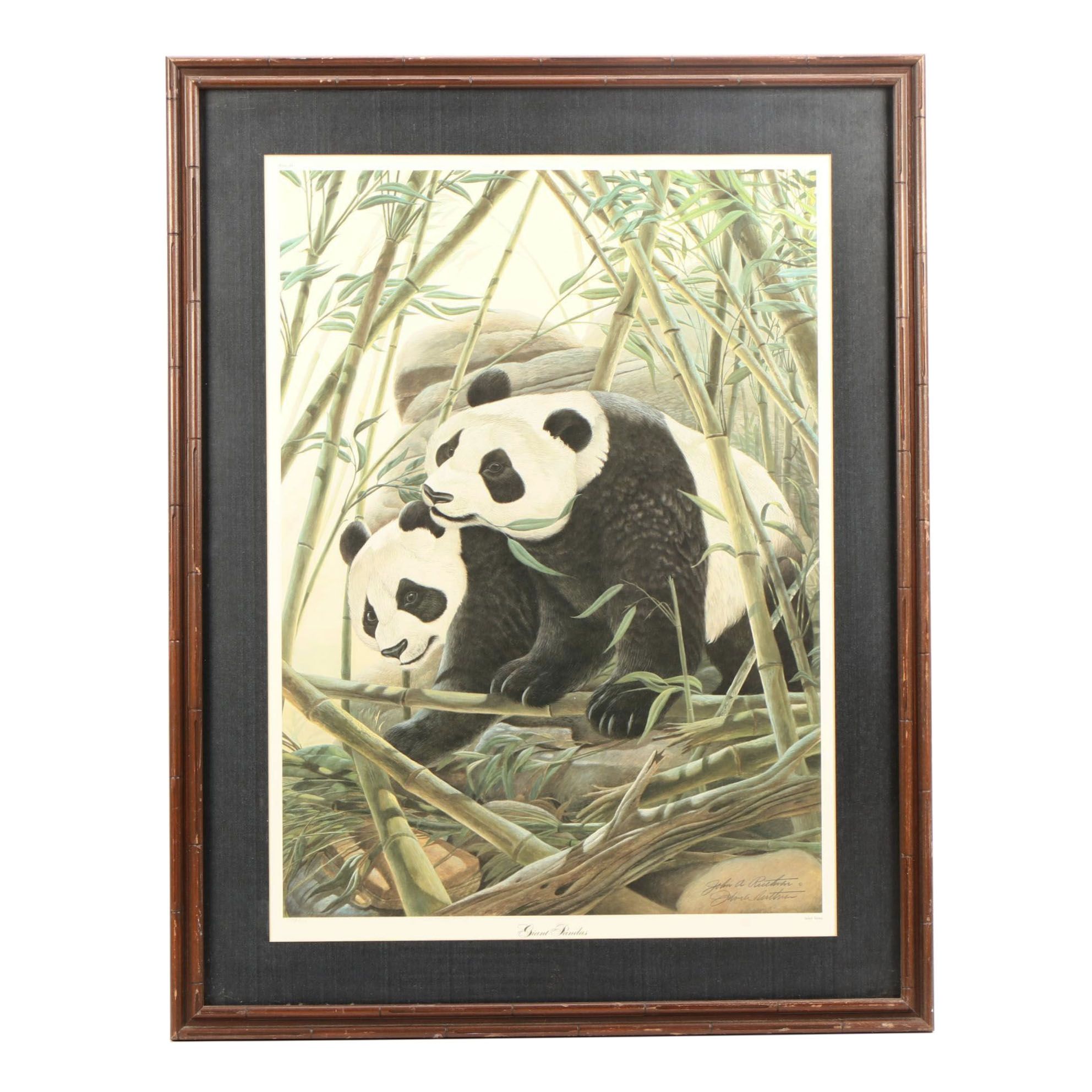 John Ruthven Offset Lithograph Giant Pandas EBTH