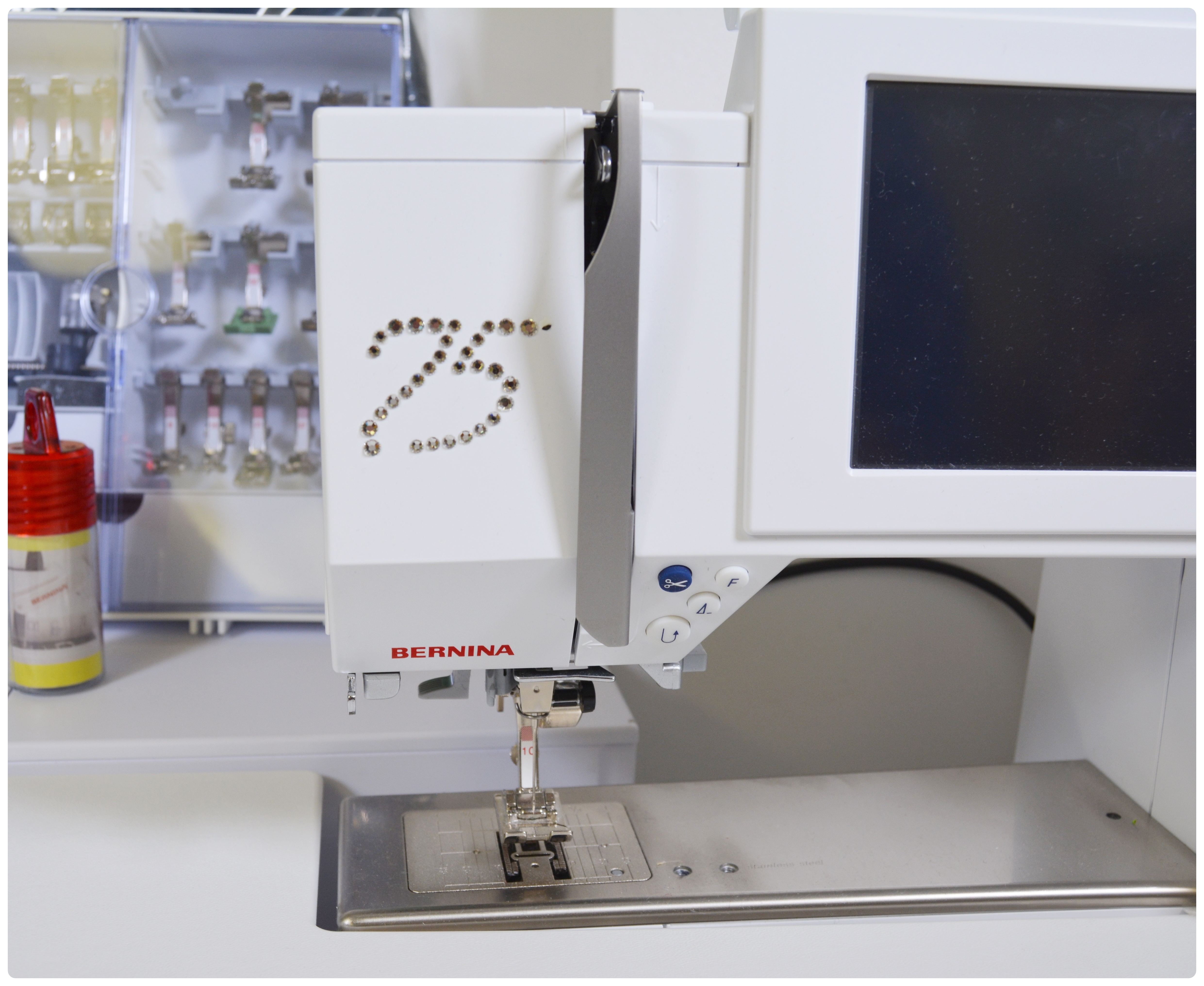 Bernina Artista 730E 75th Anniversary Edition Sewing and Embroidery