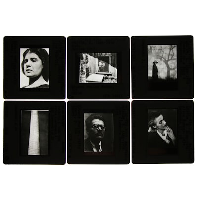 Photographic Slides after Edward Weston Photographic Slides after Edward Weston