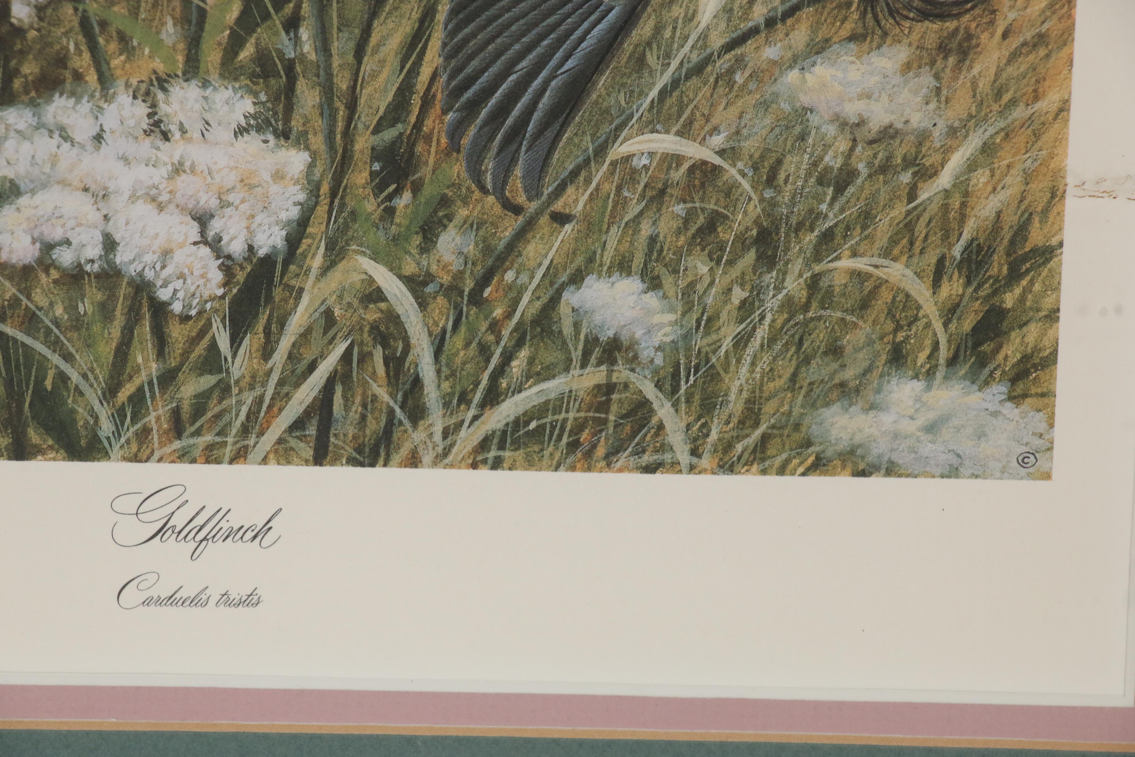John Ruthven Offset Lithograph "Goldfinch" EBTH