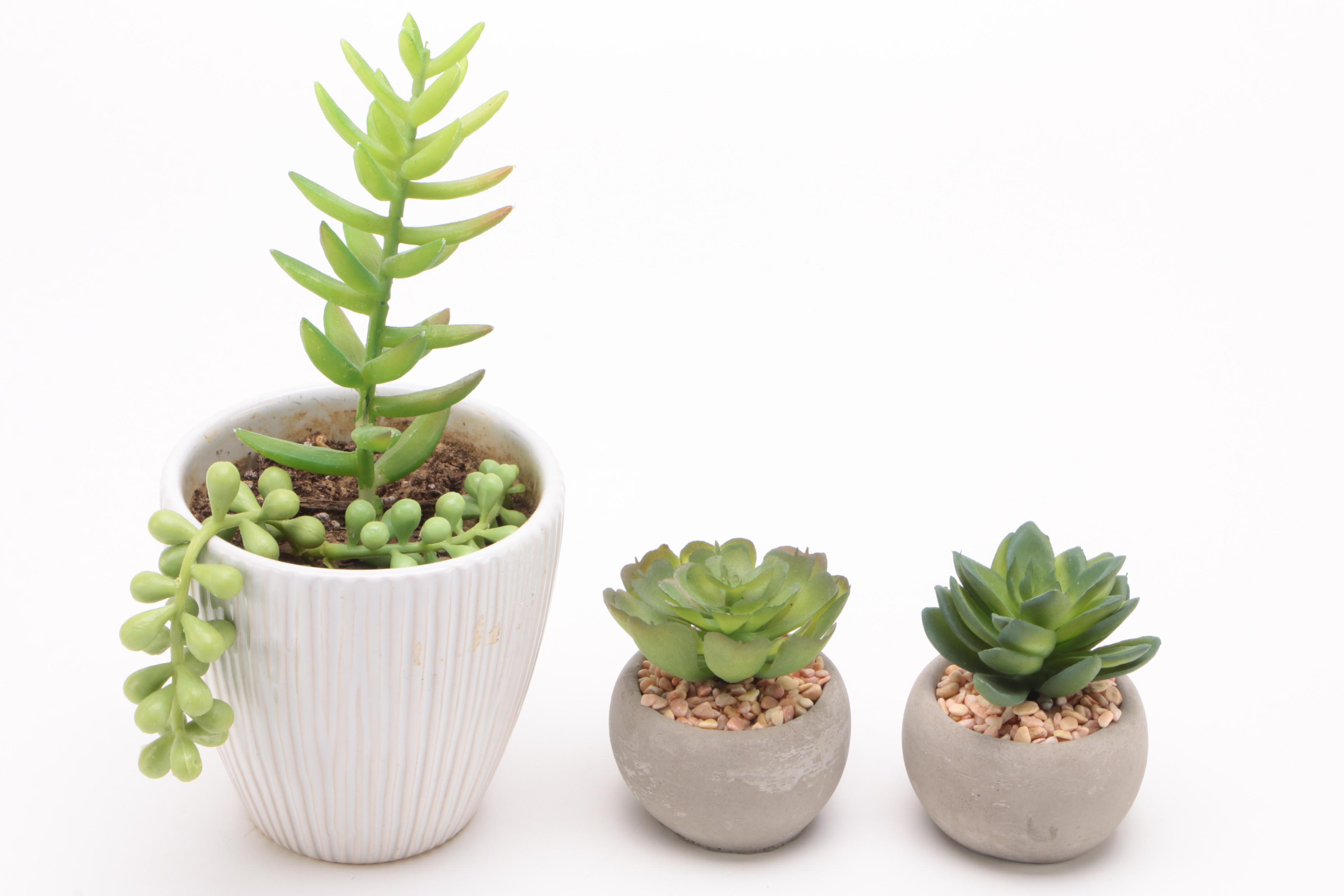 Artificial Plant Collection with Assorted Table Top Décor EBTH