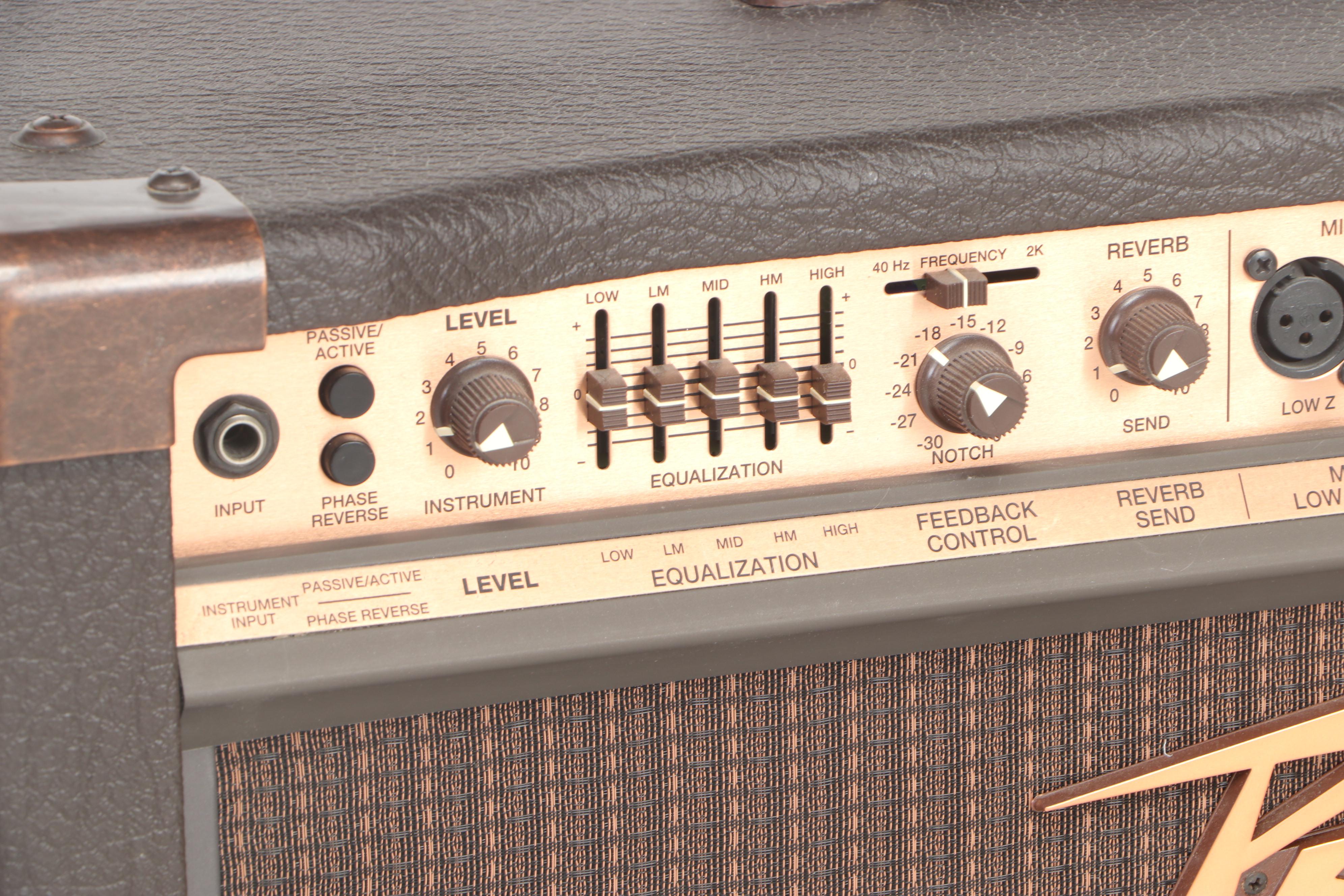 Peavey Ecoustic 112 Amplifier EBTH