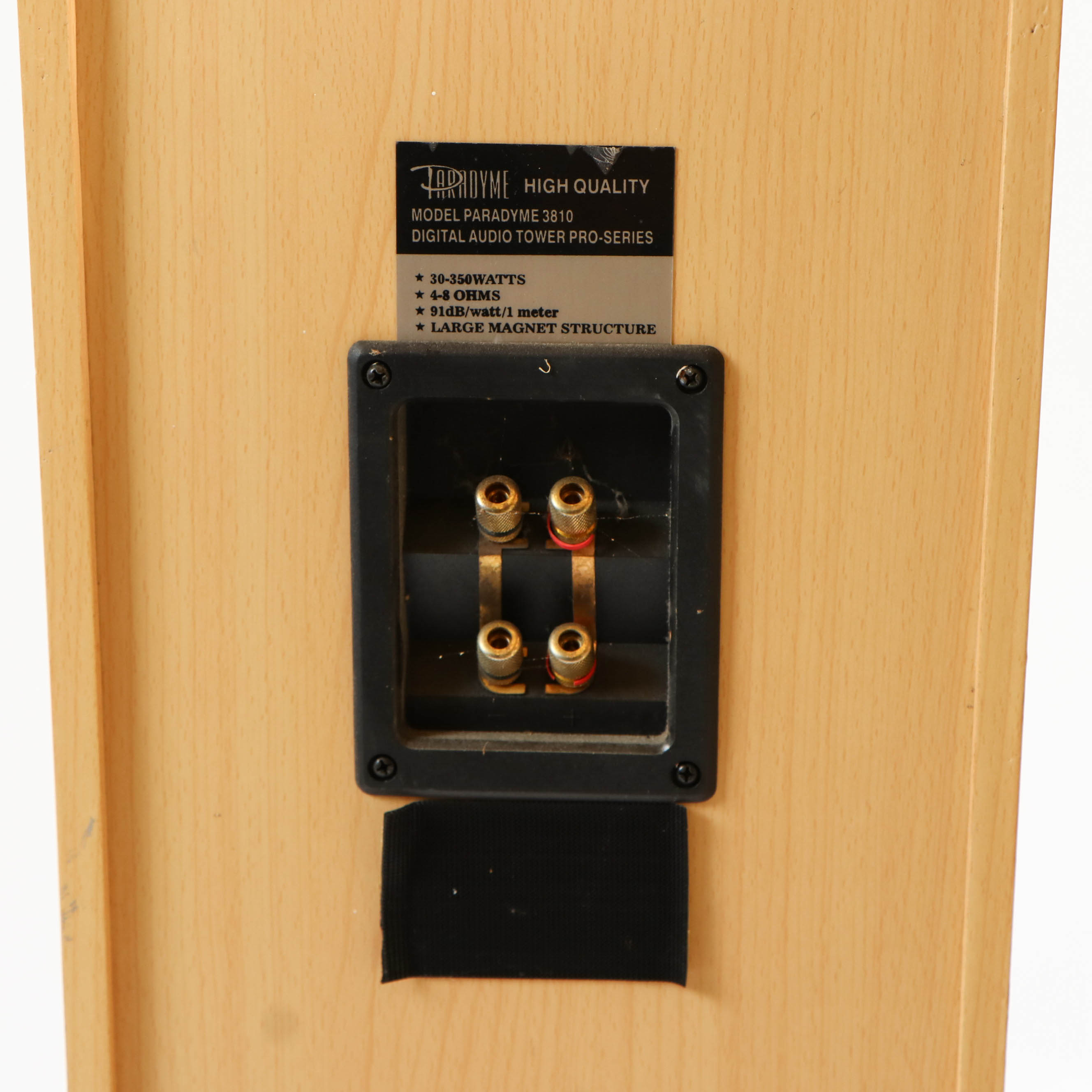 Paradyme Model 3810 ProSeries Digital Audio Tower Speakers EBTH