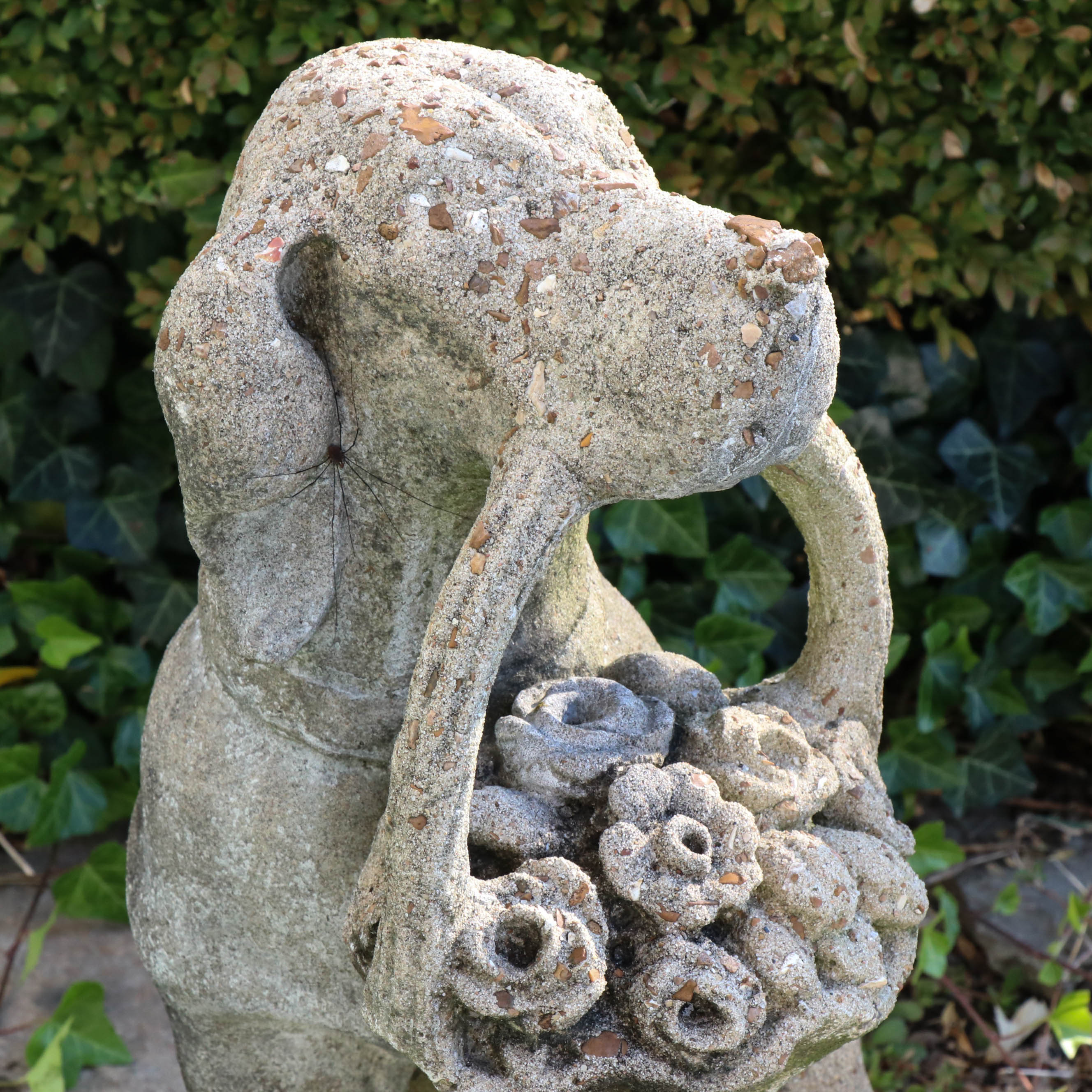 Concrete Garden Statues Of Dogs With Flower Baskets 20th Century EBTH   IMG 2503 