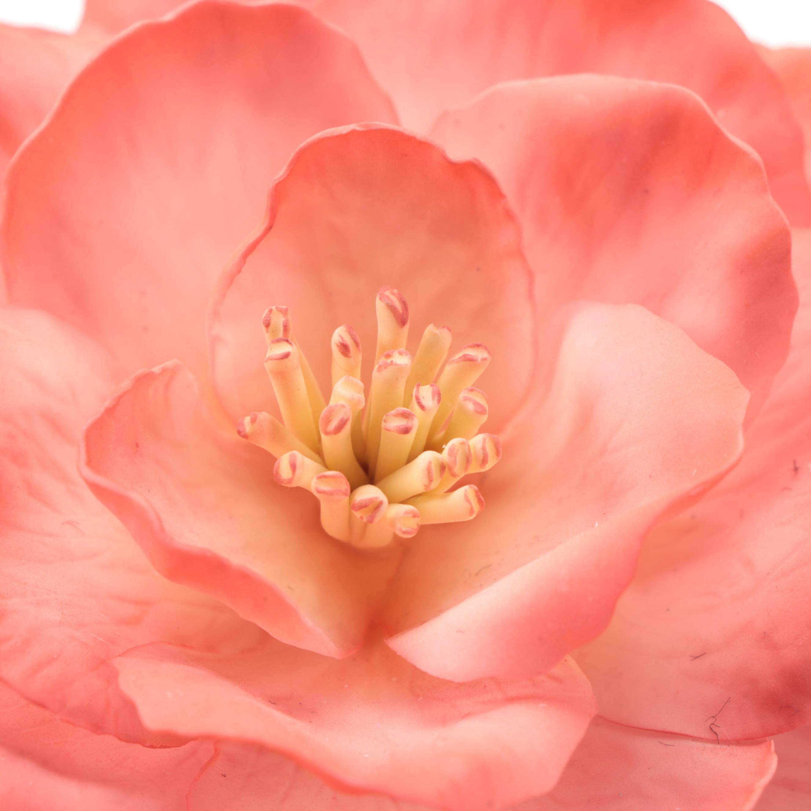 Boehm &ldquo;Joyful Bells Camellia&rdquo; Porcelain Figurine, 1993 | EBTH