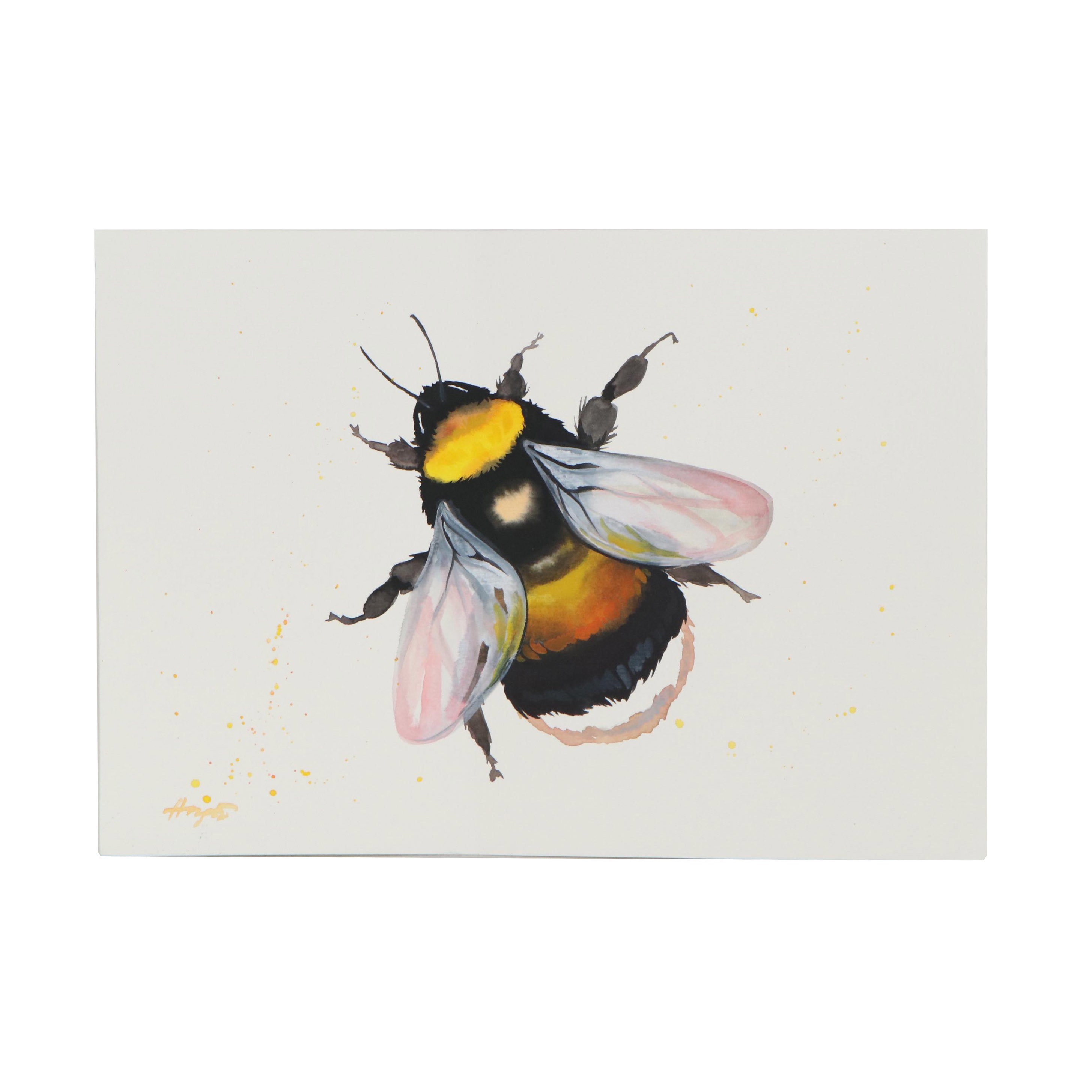 Anne Gorywine Watercolor Painting of Bumblebee
