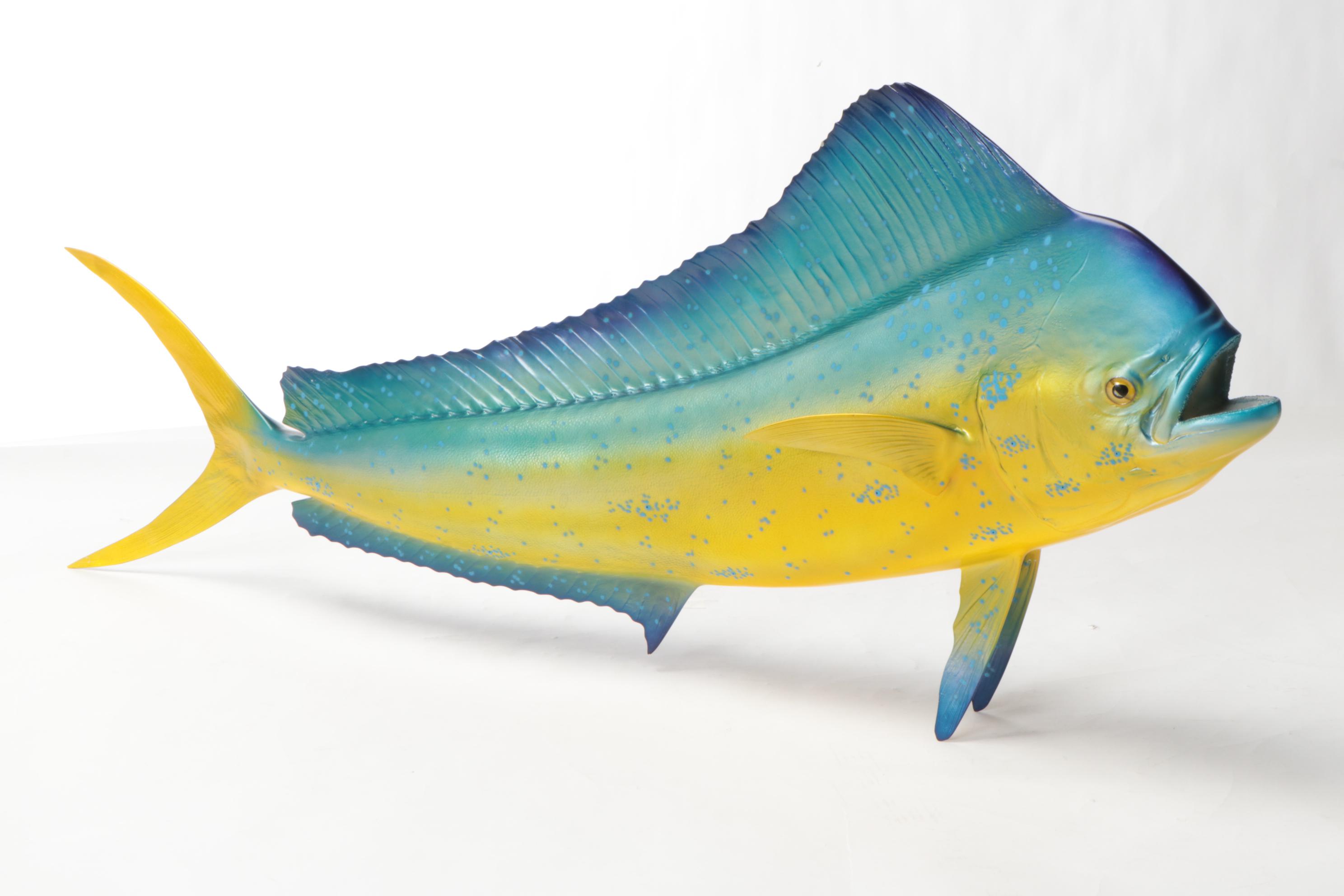 MahiMahi Fish Replica Wall Mounts EBTH