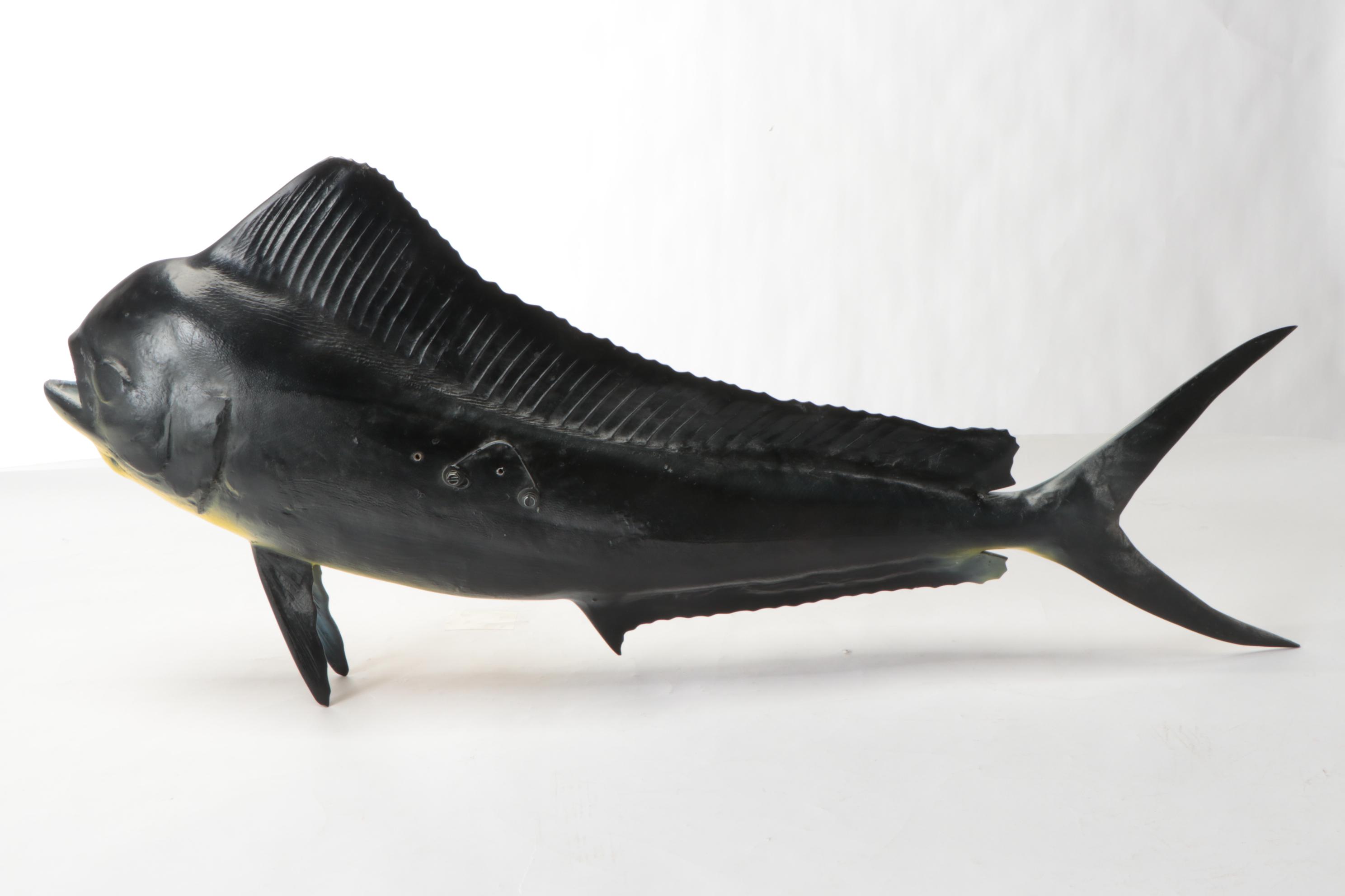 MahiMahi Fish Replica Wall Mounts EBTH