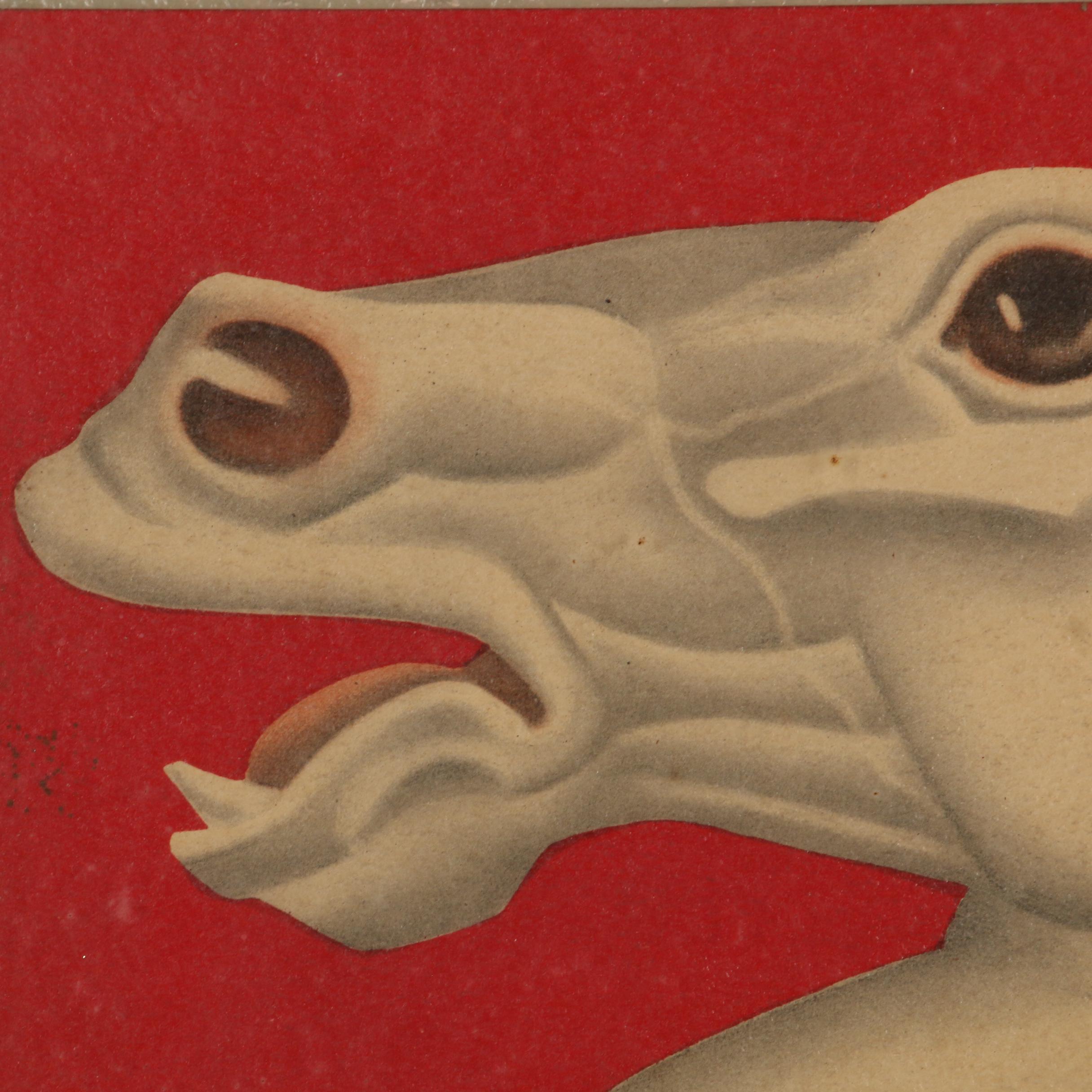 Art Deco Style Offset Lithograph of Horses After Robert Reinhardt Von