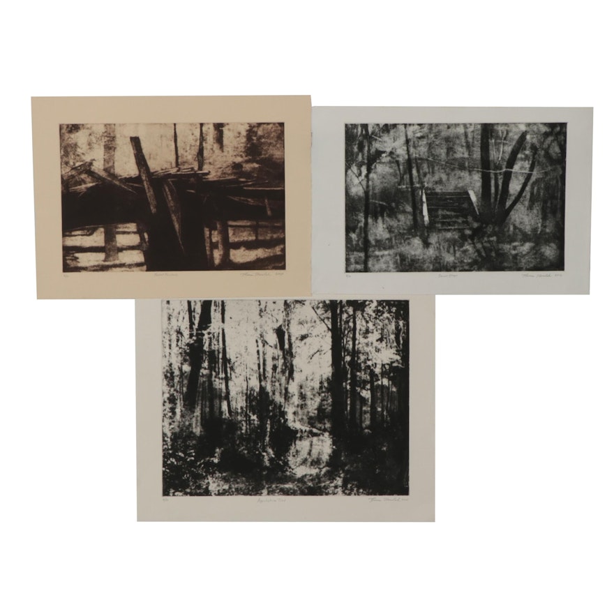 Thomas Norulak Aquatint Etchings Including "Forest Fracture," 2007