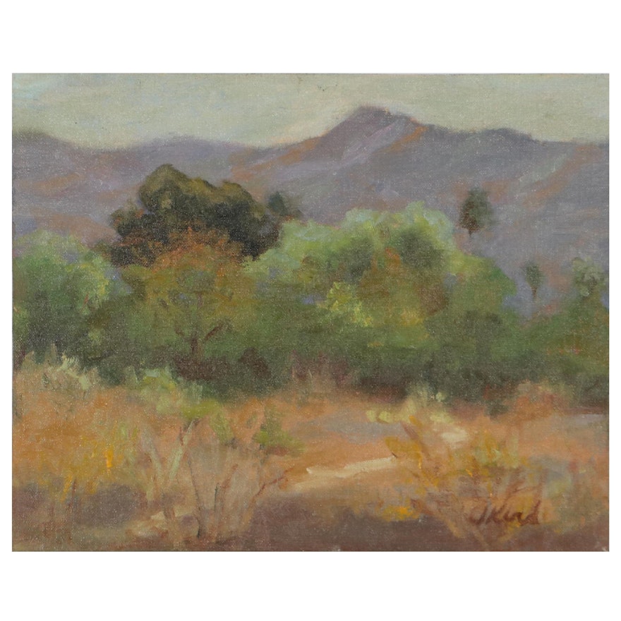 Kathy Ikerd Landscape Oil Painting "Ojai Vista," 2013