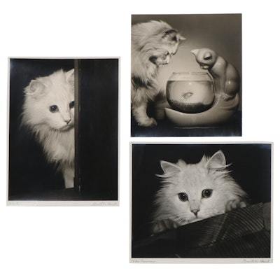 Grant Haist Silver Print Photographs of Cats