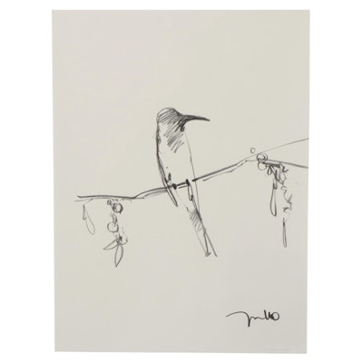 Jose Trujillo Charcoal Drawing "Little Hummingbird"