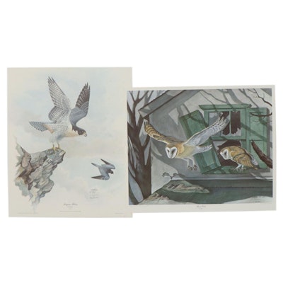 Ron Jenkins Offset Lithographs "Barn Owls" and "Peregrine Falcons," 1974