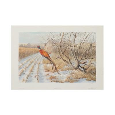 Maynard Reece Offset Lithograph "Escape - Ring-Necked Pheasants," 1981