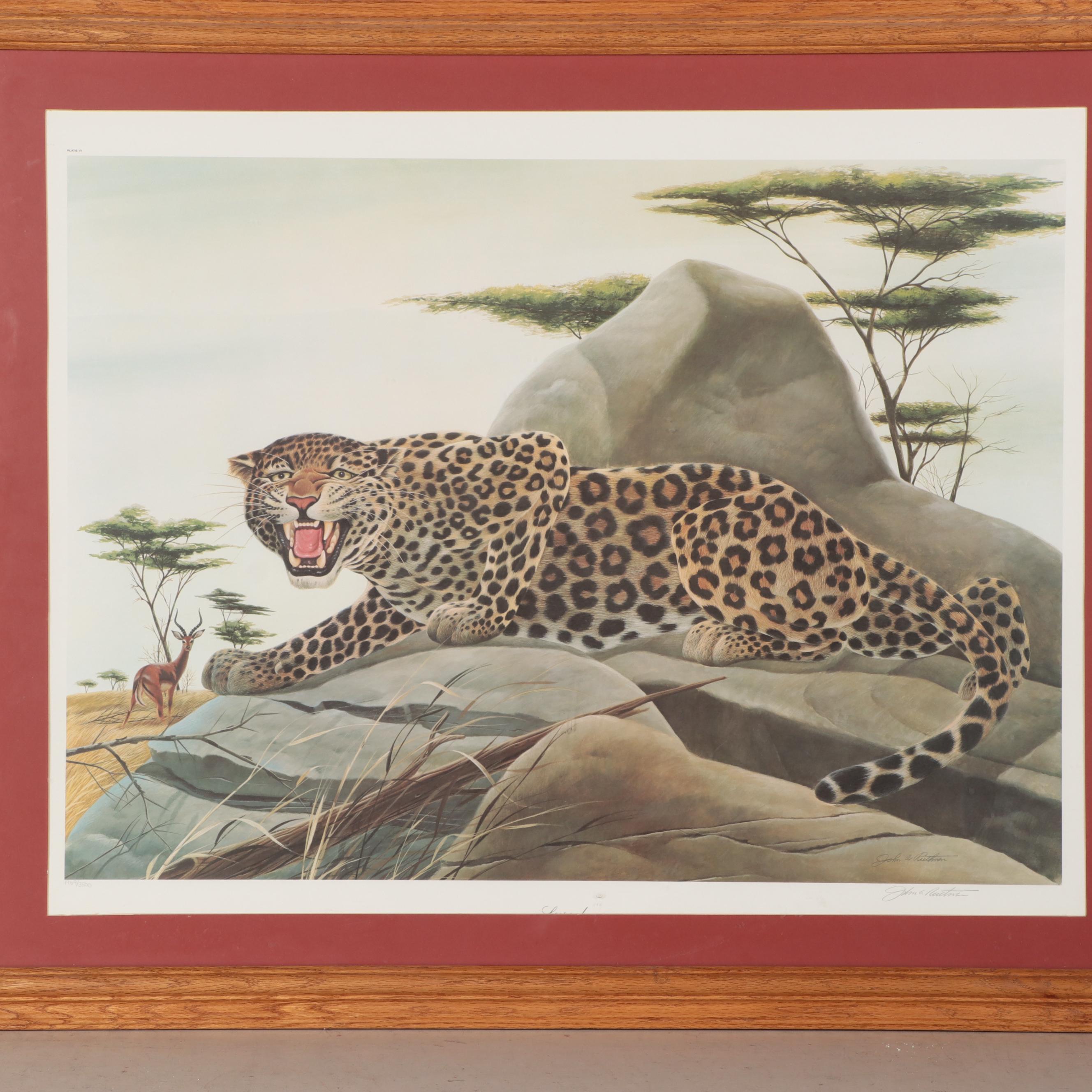 John Ruthven Offset Lithograph "Leopard," Late 20th Century EBTH