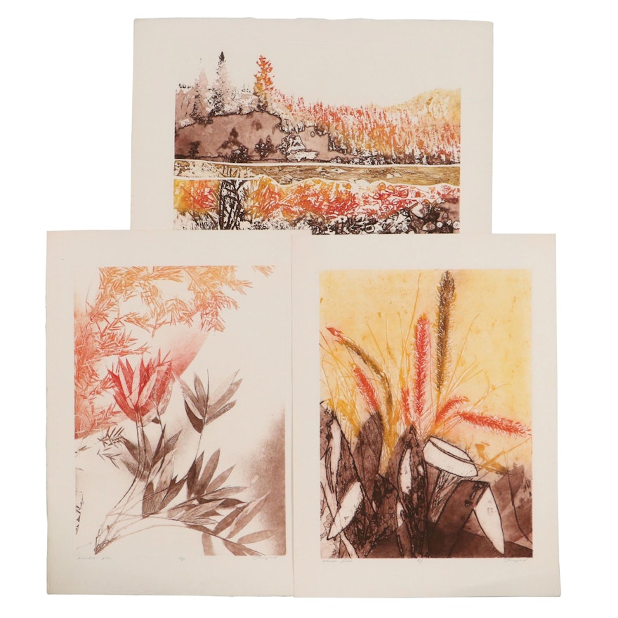 Truyard Etchings With Aquatint of Foliage, Late 20th Century