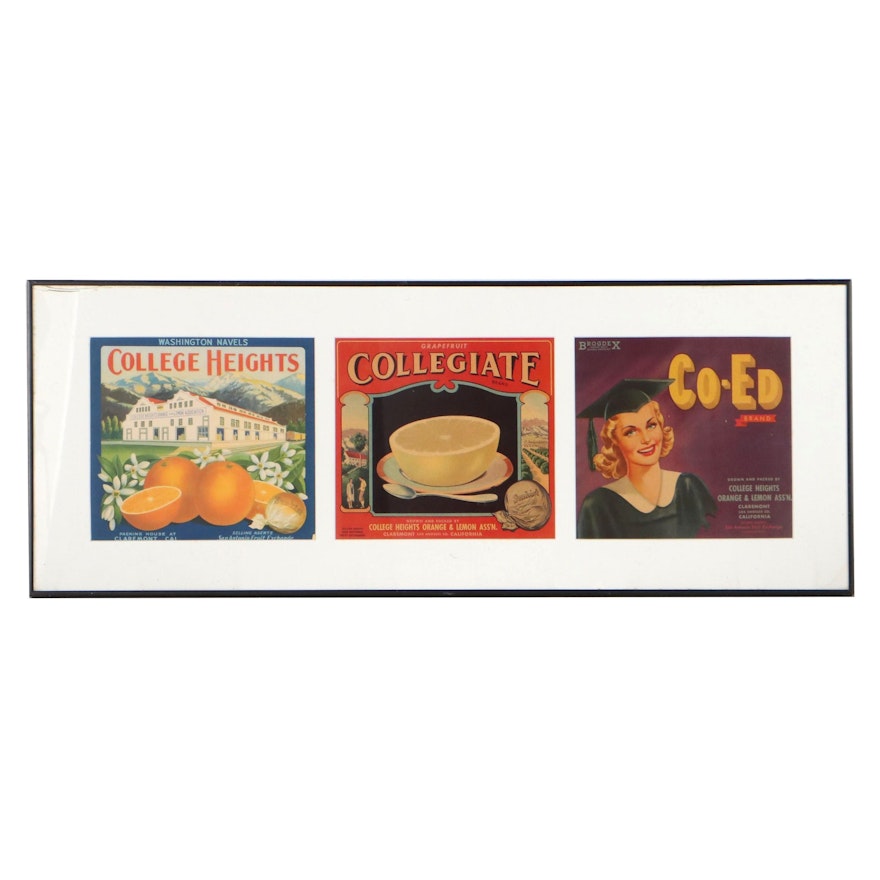 College Heights Orange and Lemon Association Offset Lithograph Advertisements