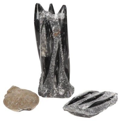 Polished Orthoceras Fossil Tower and Other Mineral Specimen