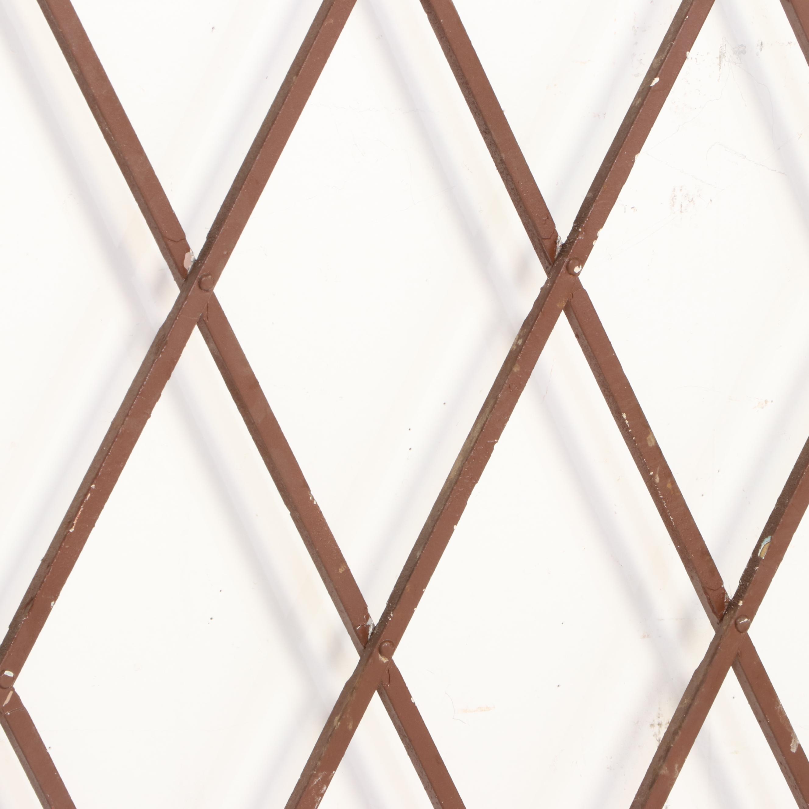 Painted Metal Elevator Accordion Gate EBTH