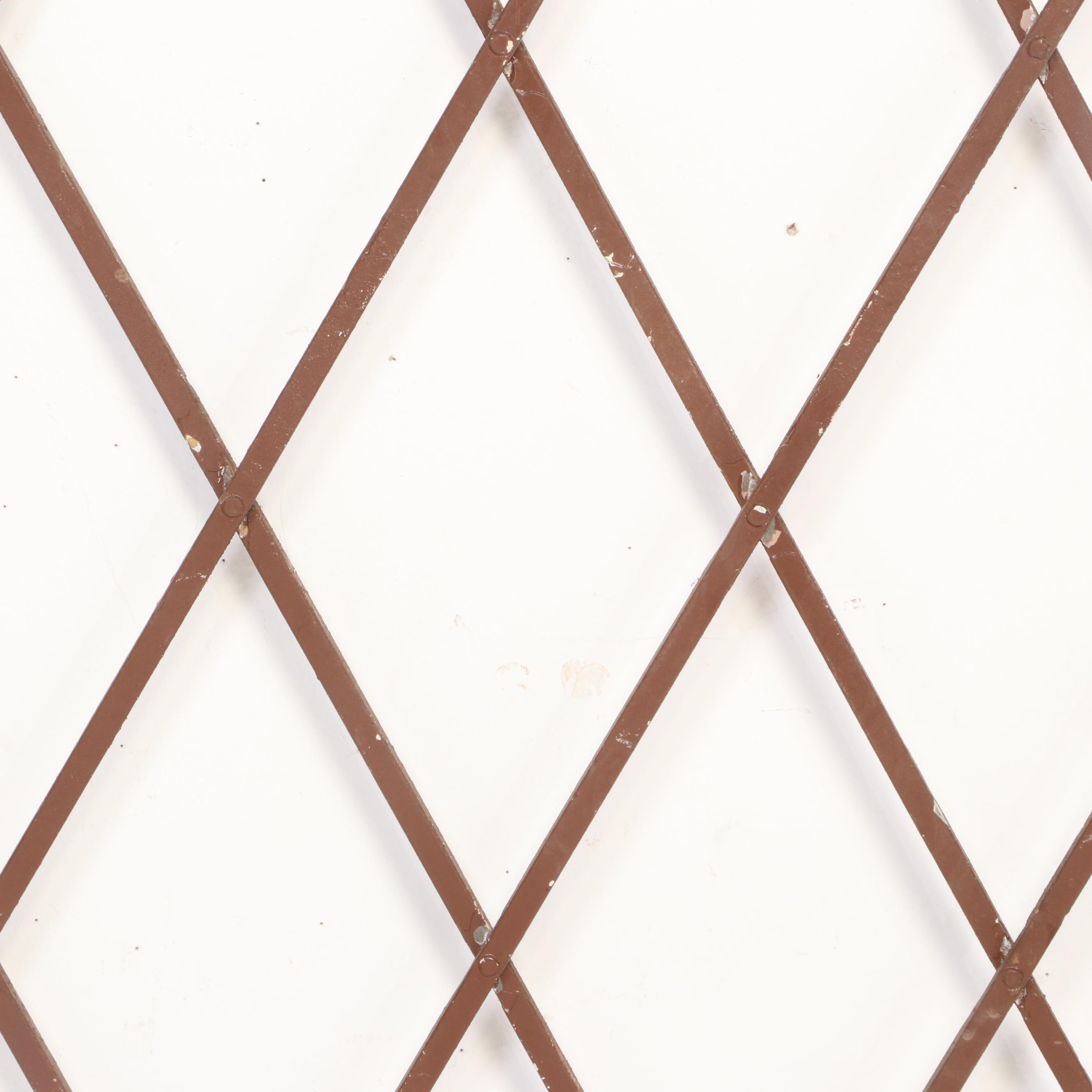 Painted Metal Elevator Accordion Gate EBTH