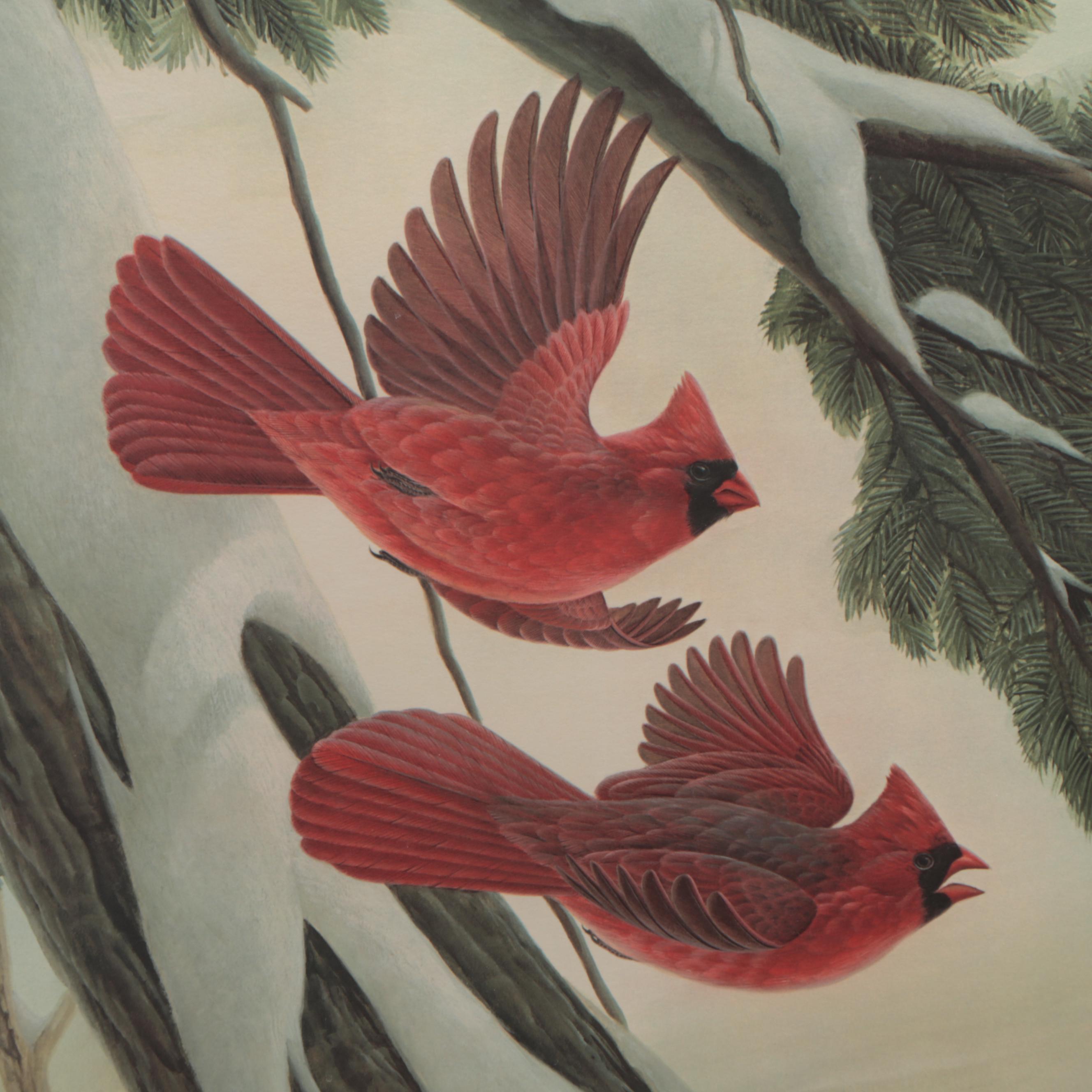 John Ruthven Offset Lithograph "Cardinal" EBTH